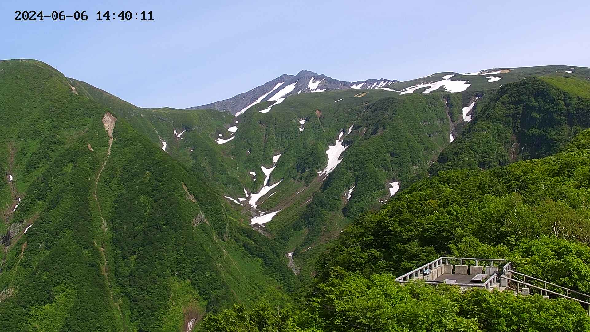 zenkei20240606144013.jpg