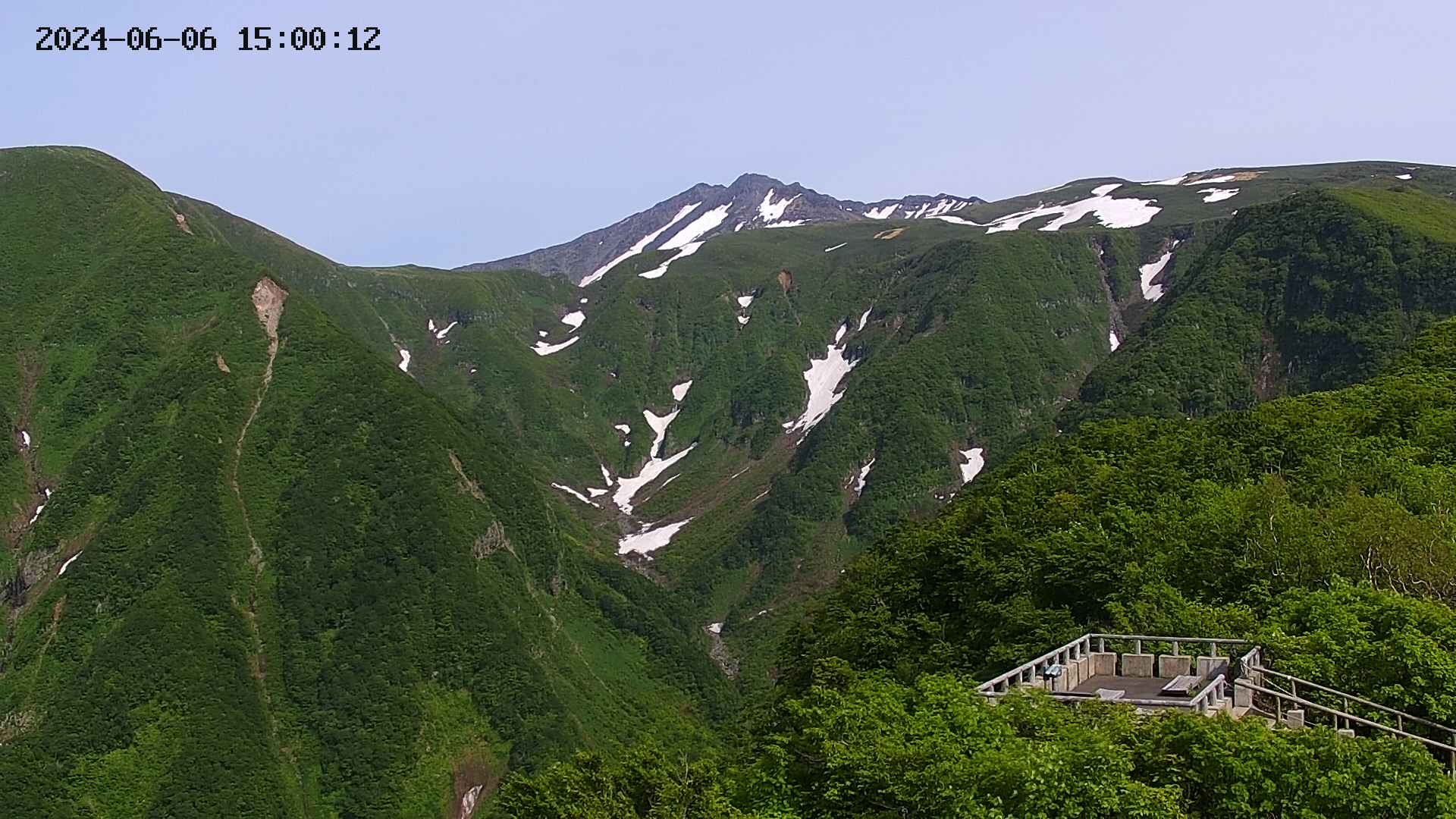 zenkei20240606150014.jpg