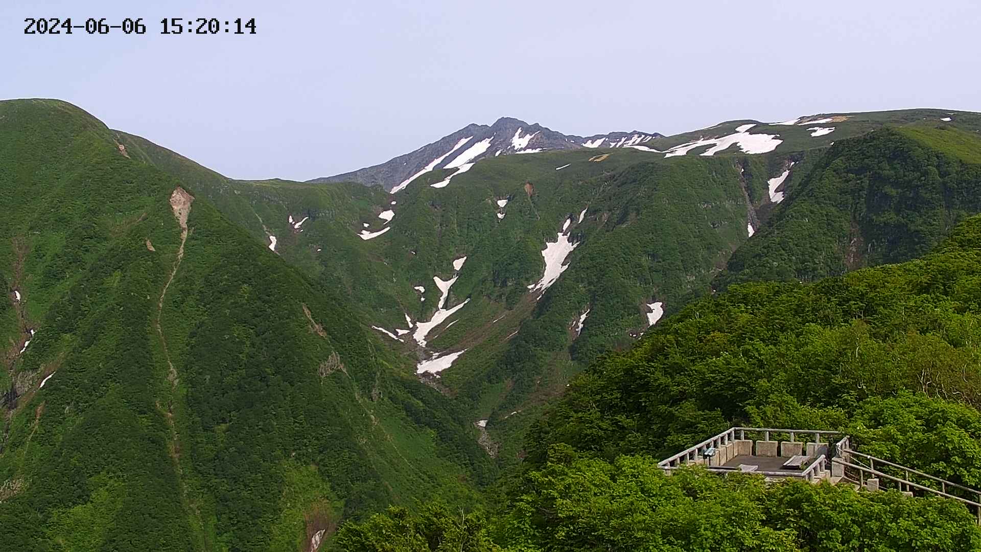 zenkei20240606152016.jpg