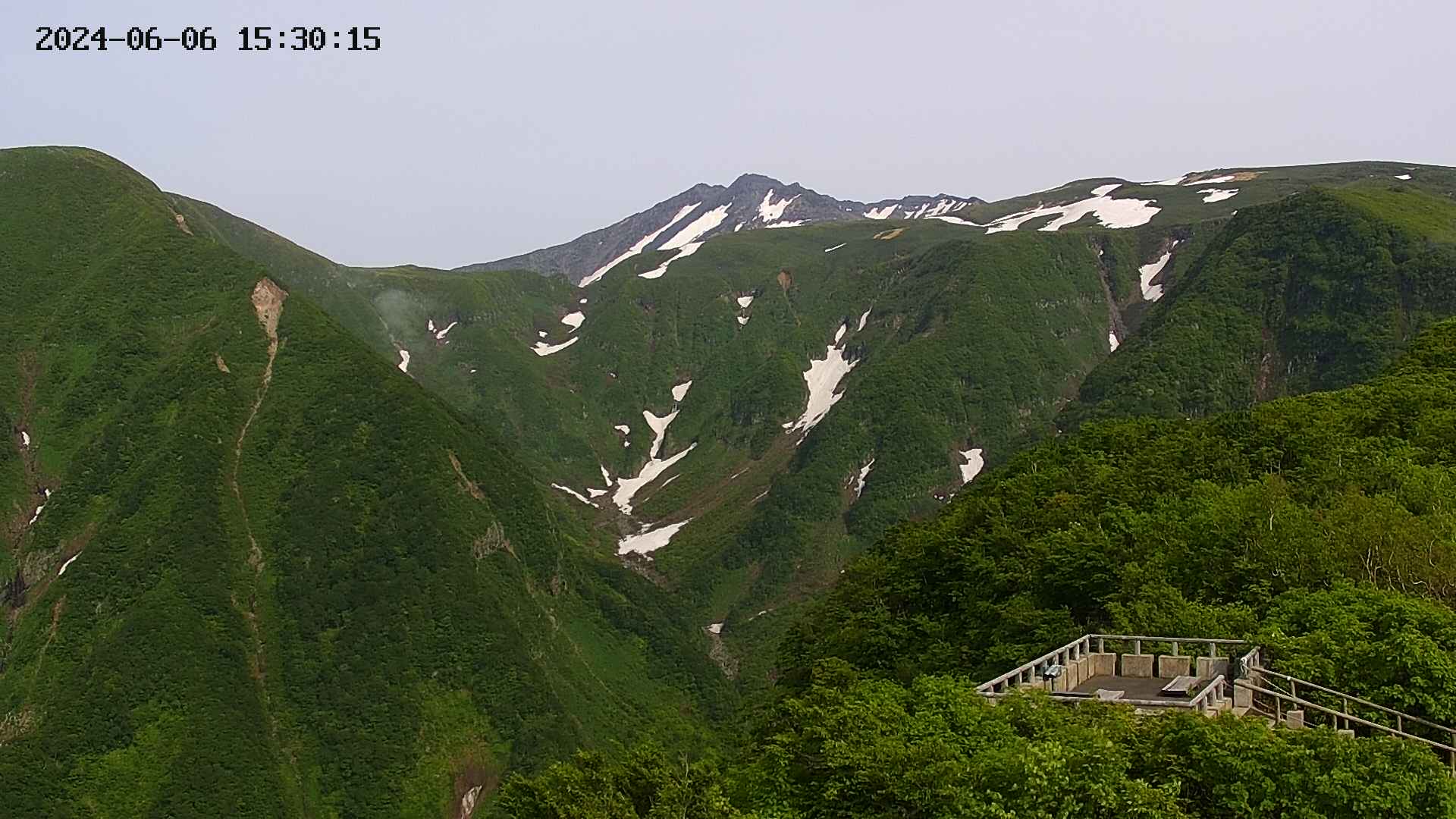 zenkei20240606153018.jpg