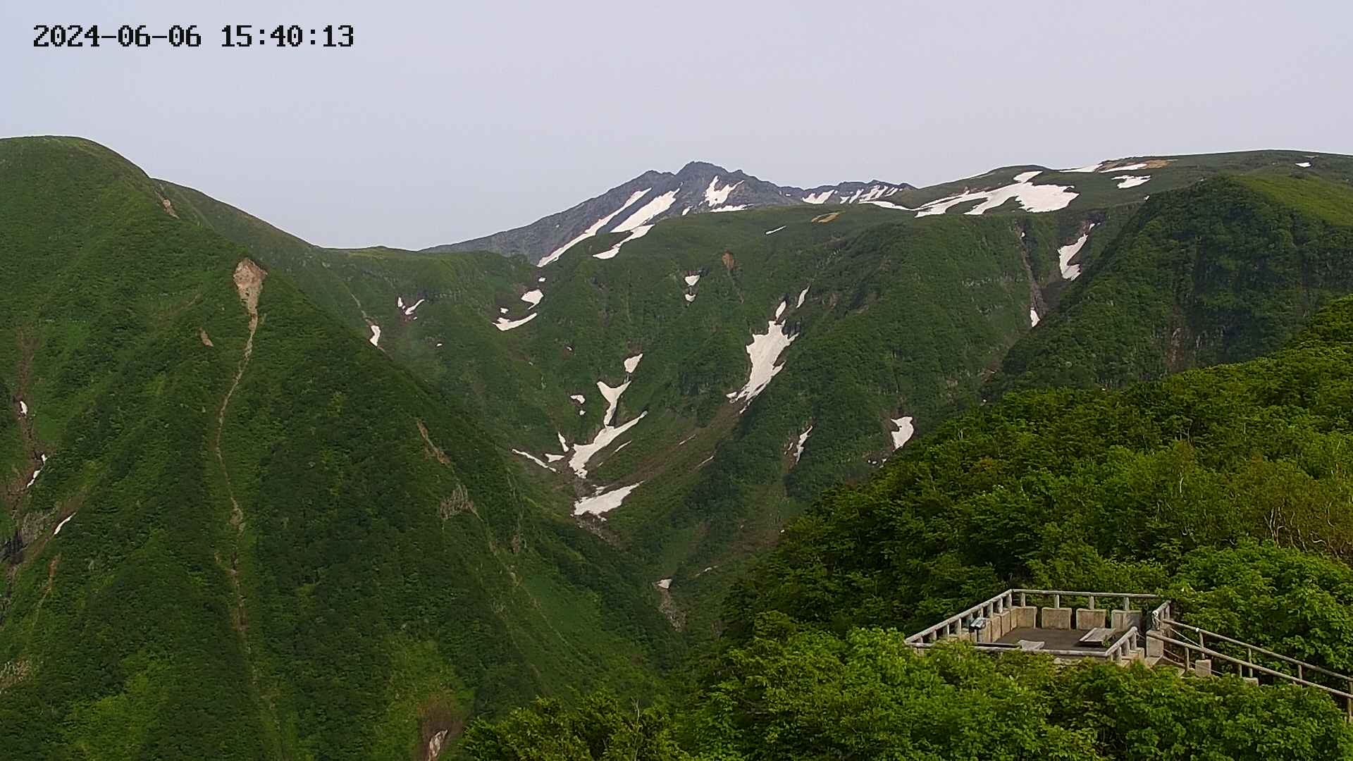 zenkei20240606154016.jpg