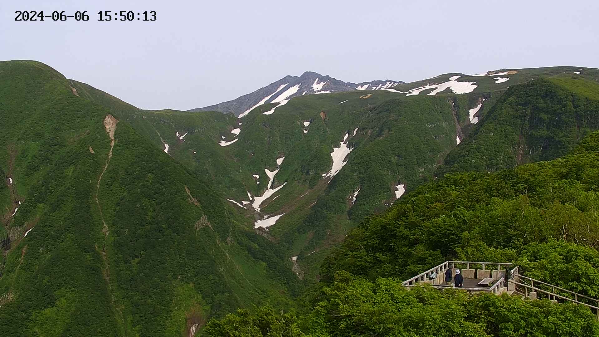 zenkei20240606155016.jpg