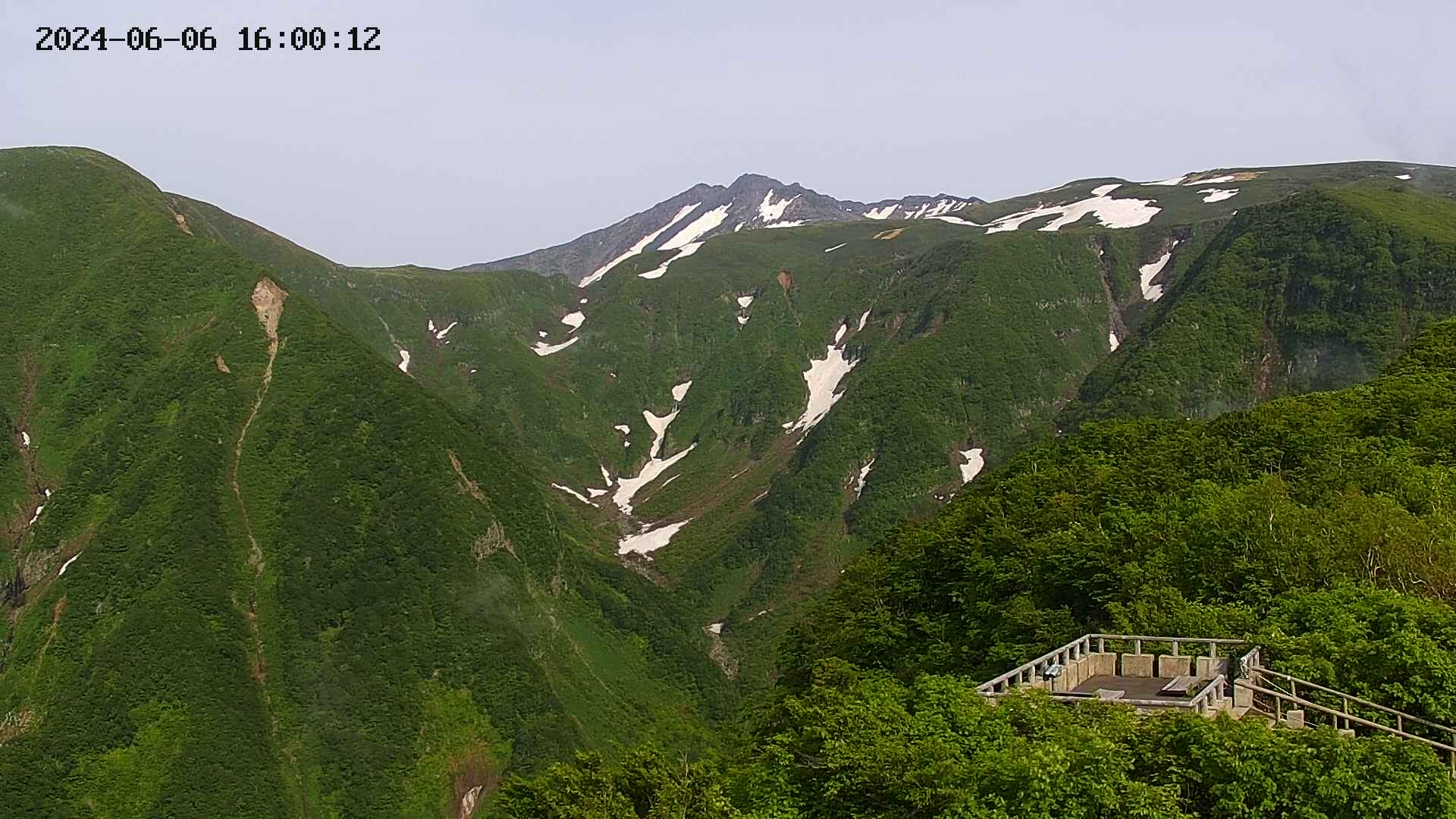 zenkei20240606160015.jpg