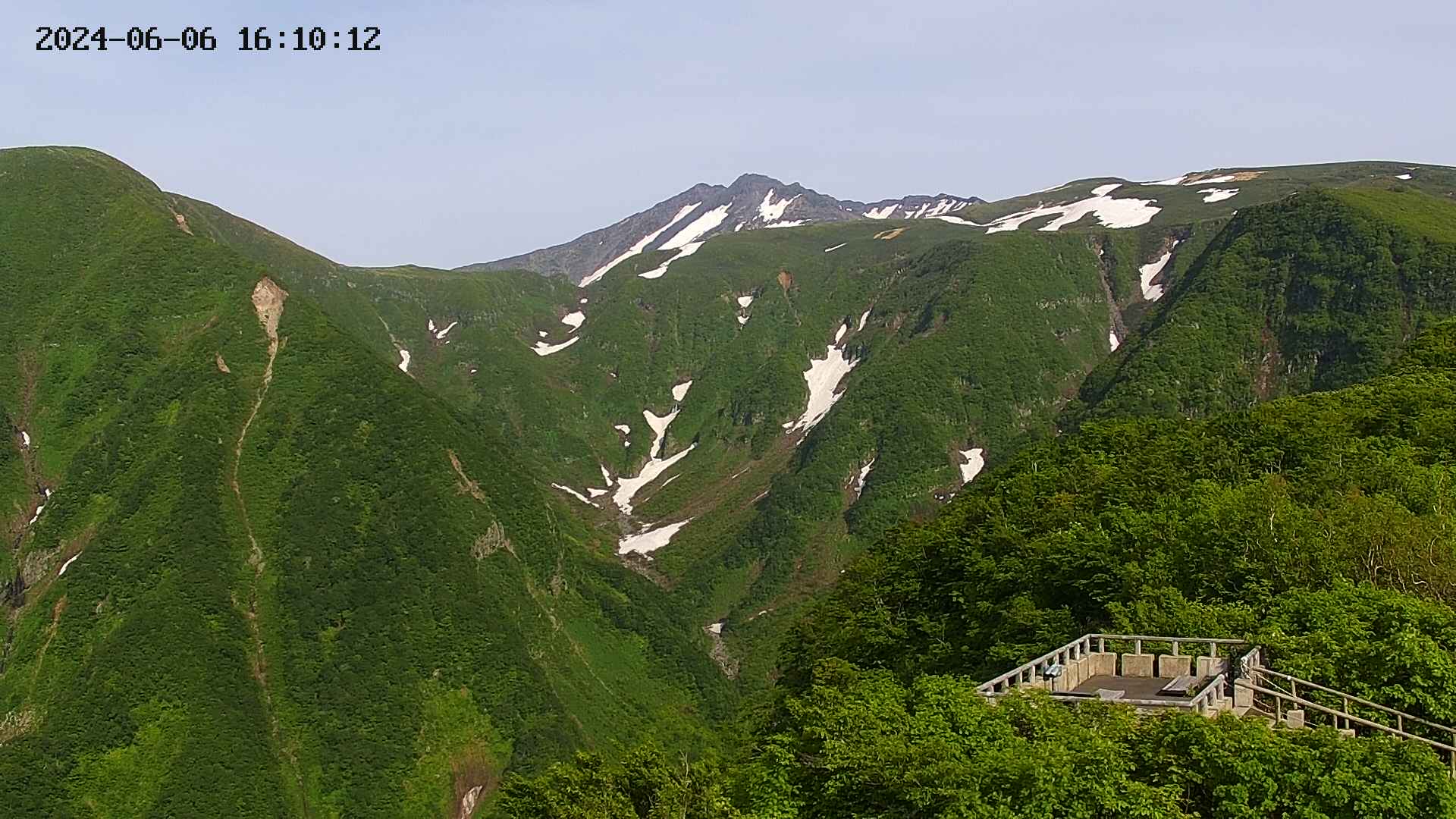 zenkei20240606161015.jpg