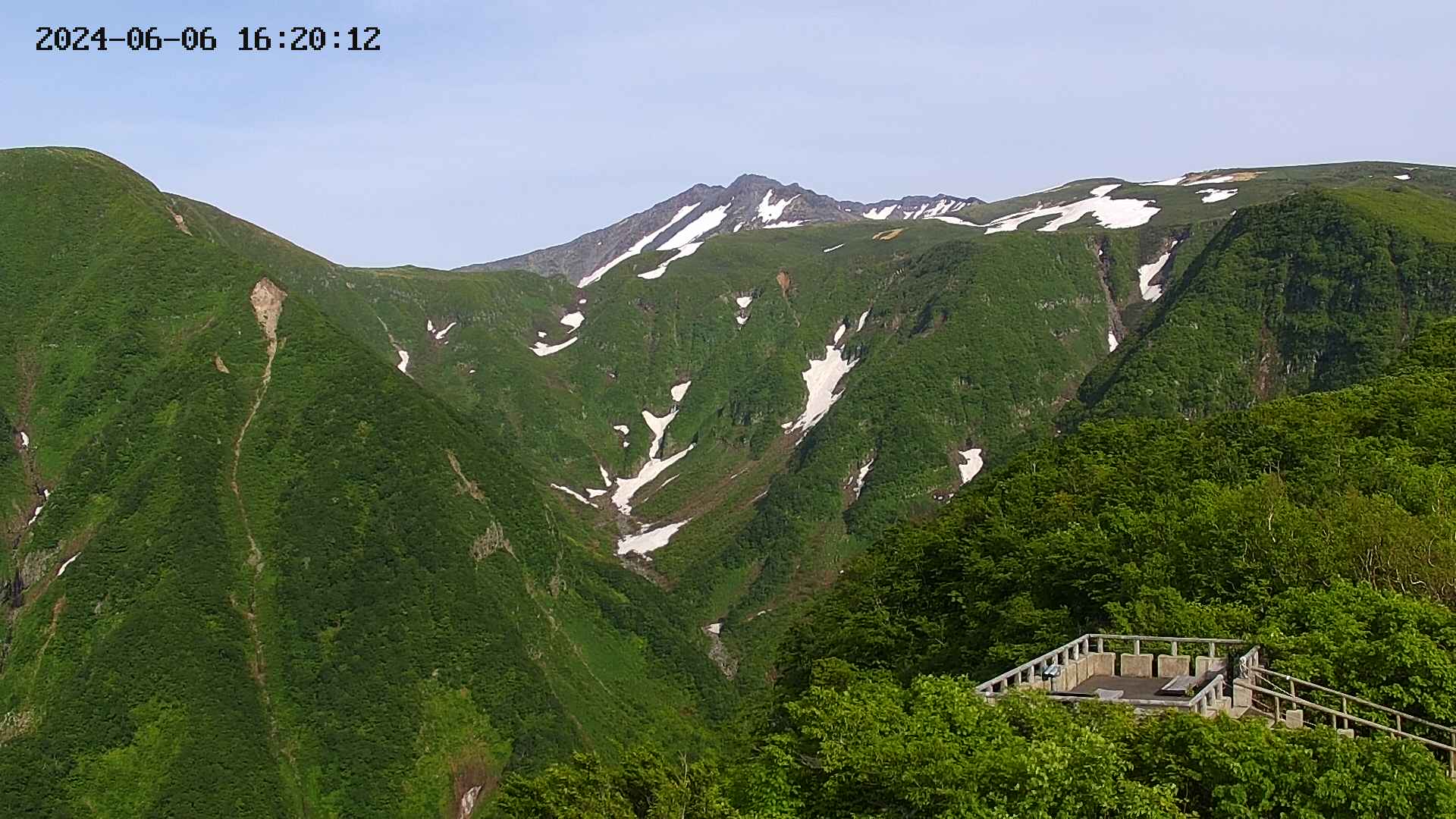 zenkei20240606162014.jpg
