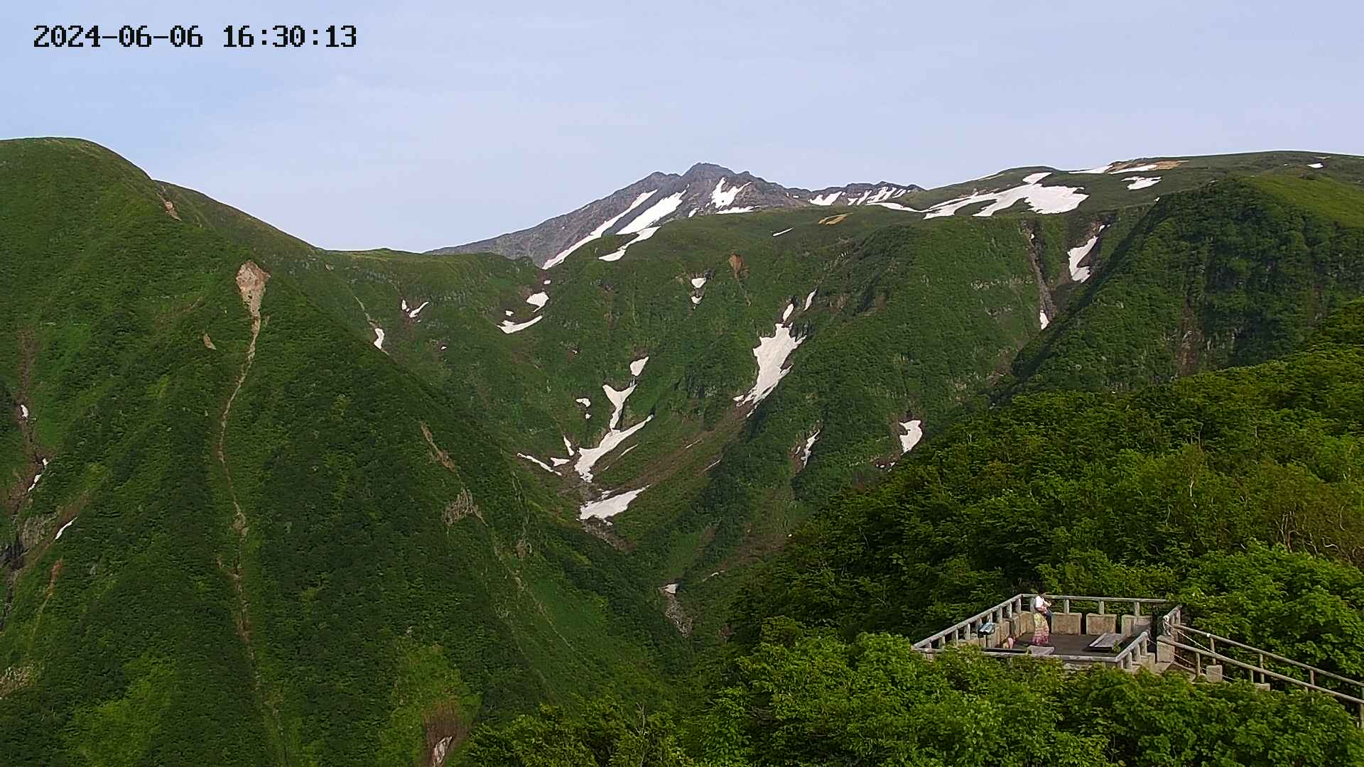zenkei20240606163016.jpg