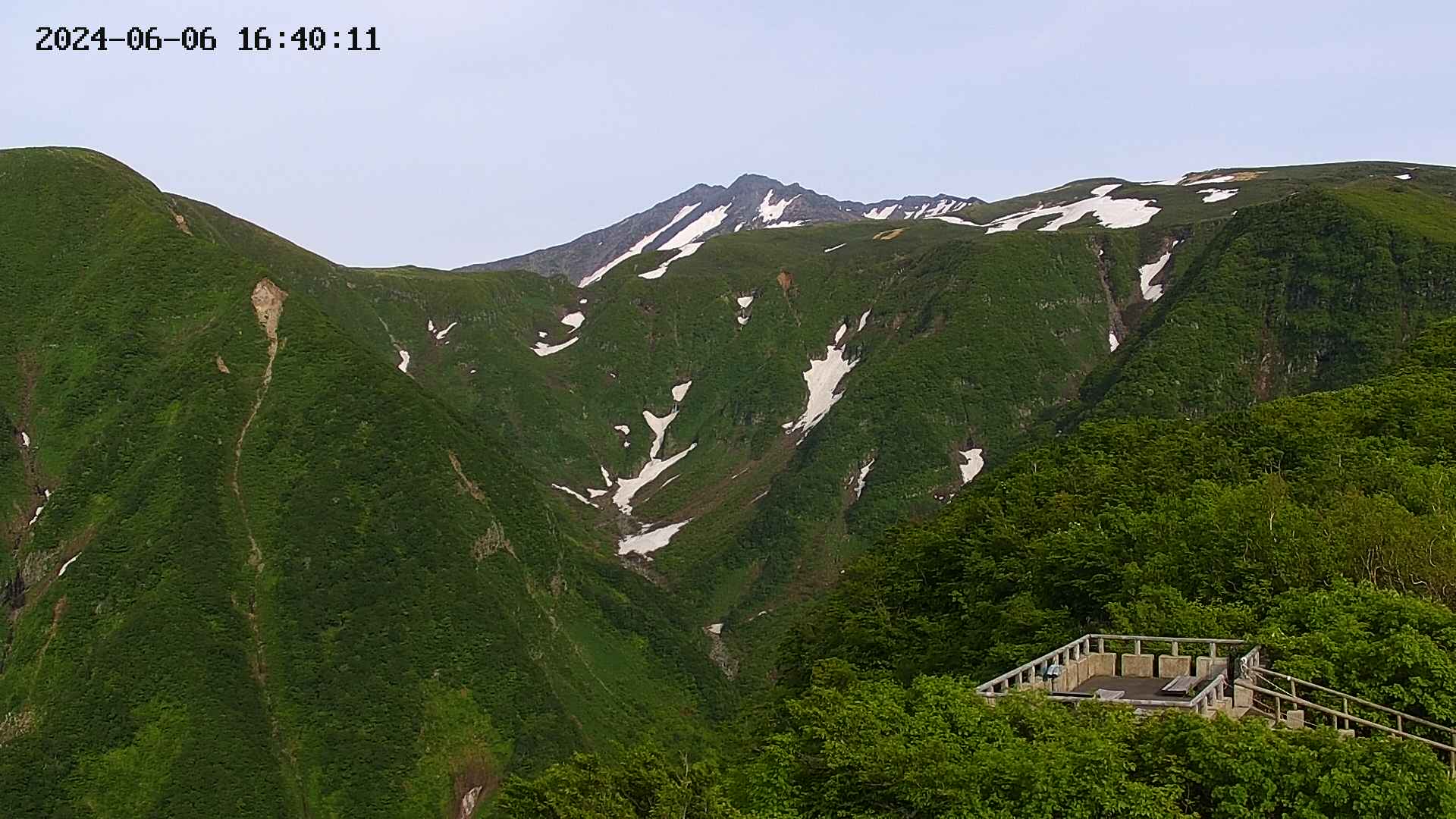 zenkei20240606164013.jpg