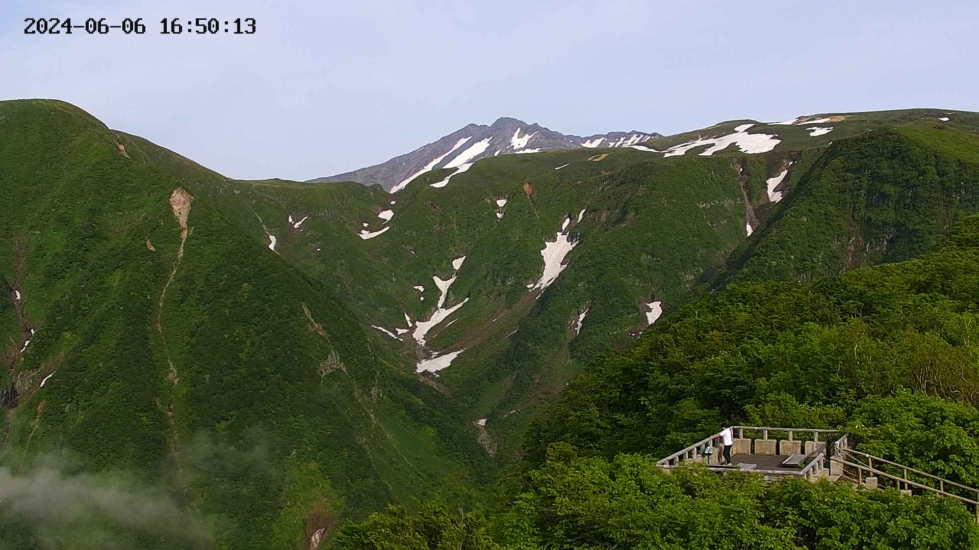 zenkei20240606165015.jpg