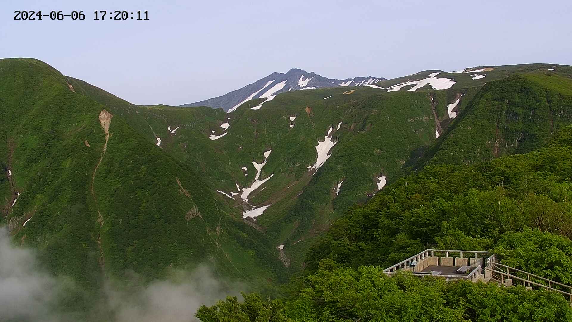 zenkei20240606172013.jpg