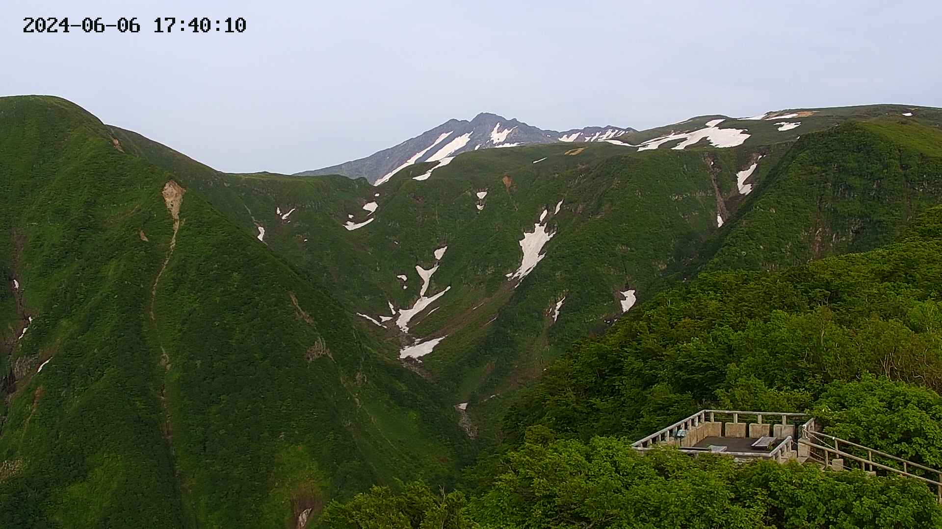 zenkei20240606174013.jpg