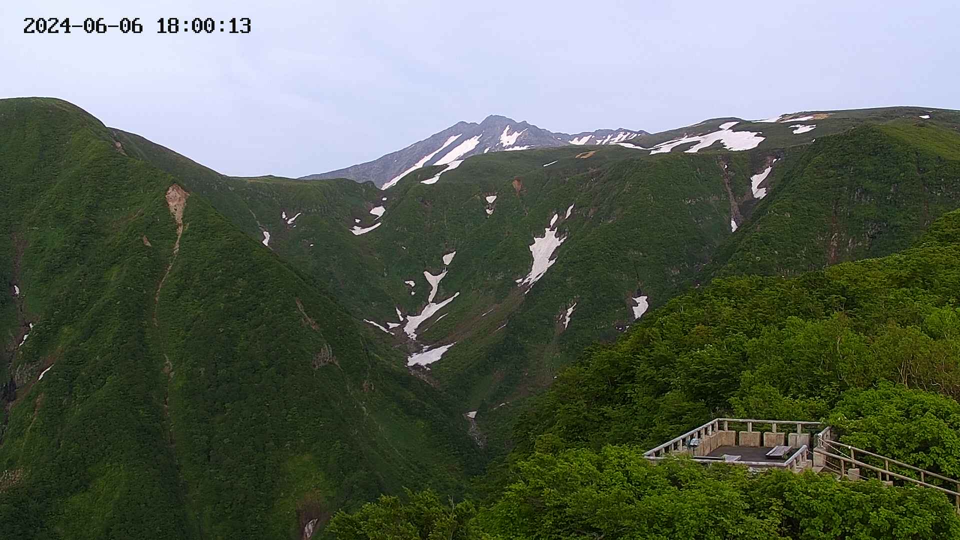 zenkei20240606180016.jpg