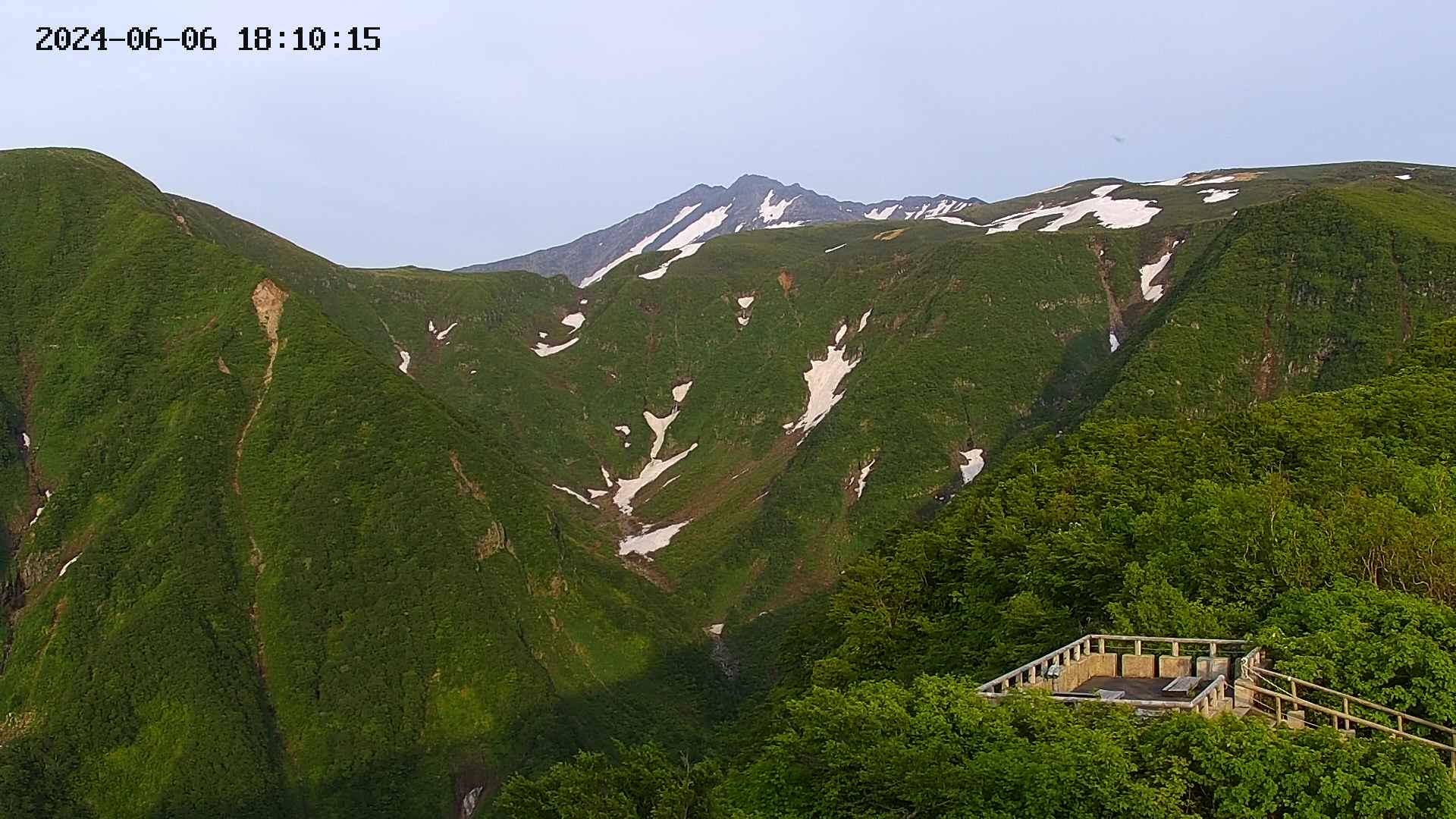 zenkei20240606181018.jpg