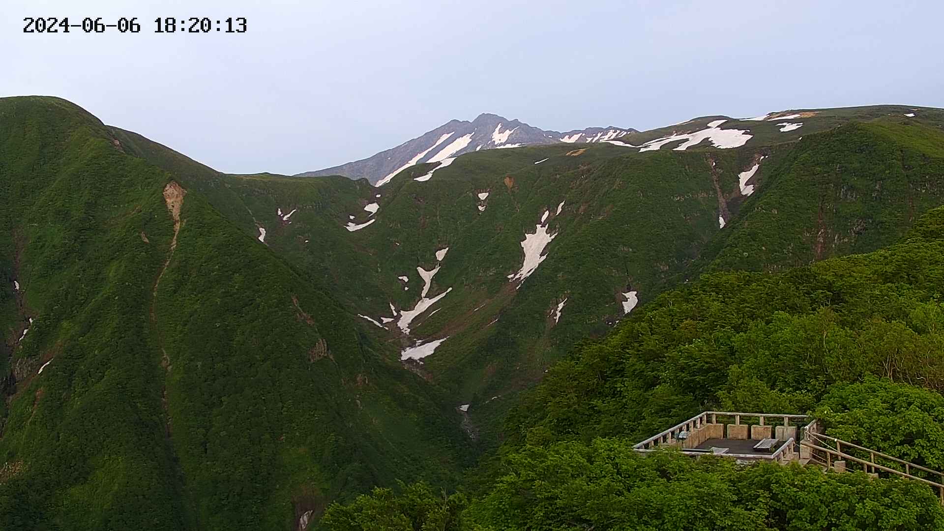 zenkei20240606182015.jpg