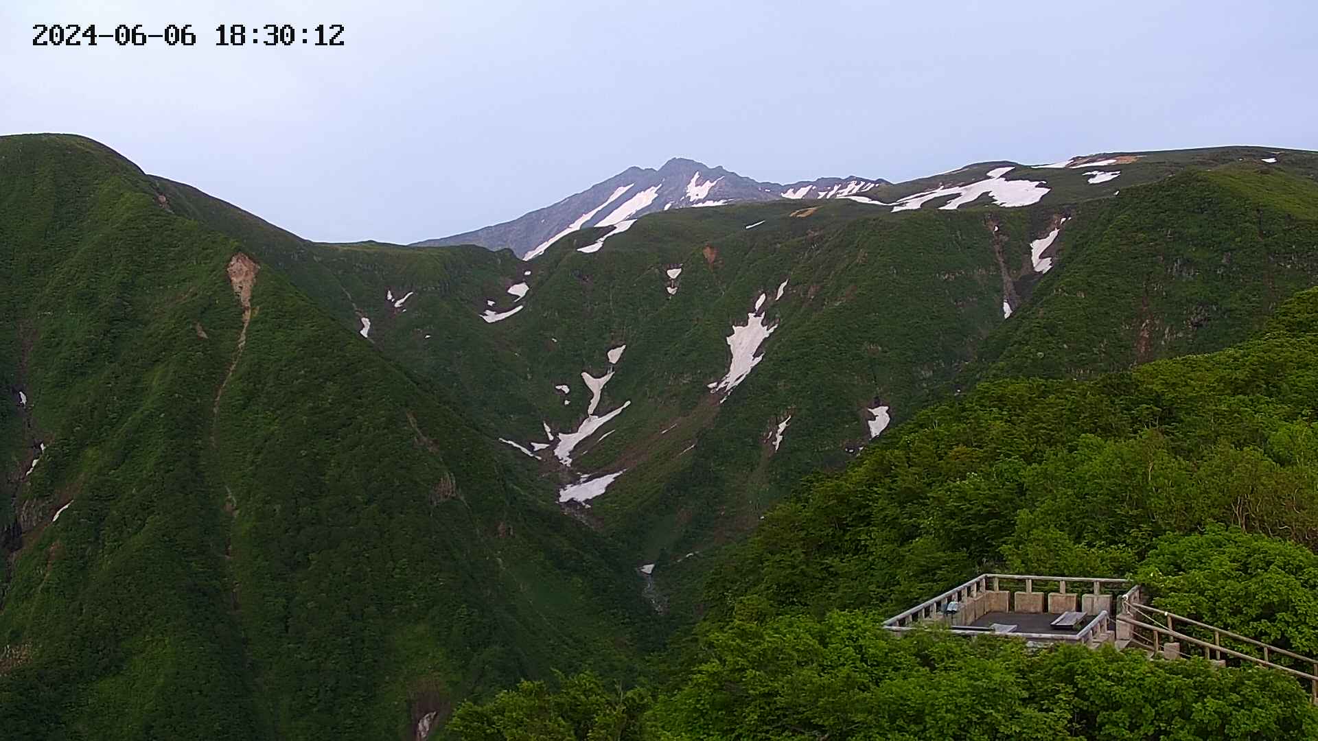 zenkei20240606183014.jpg