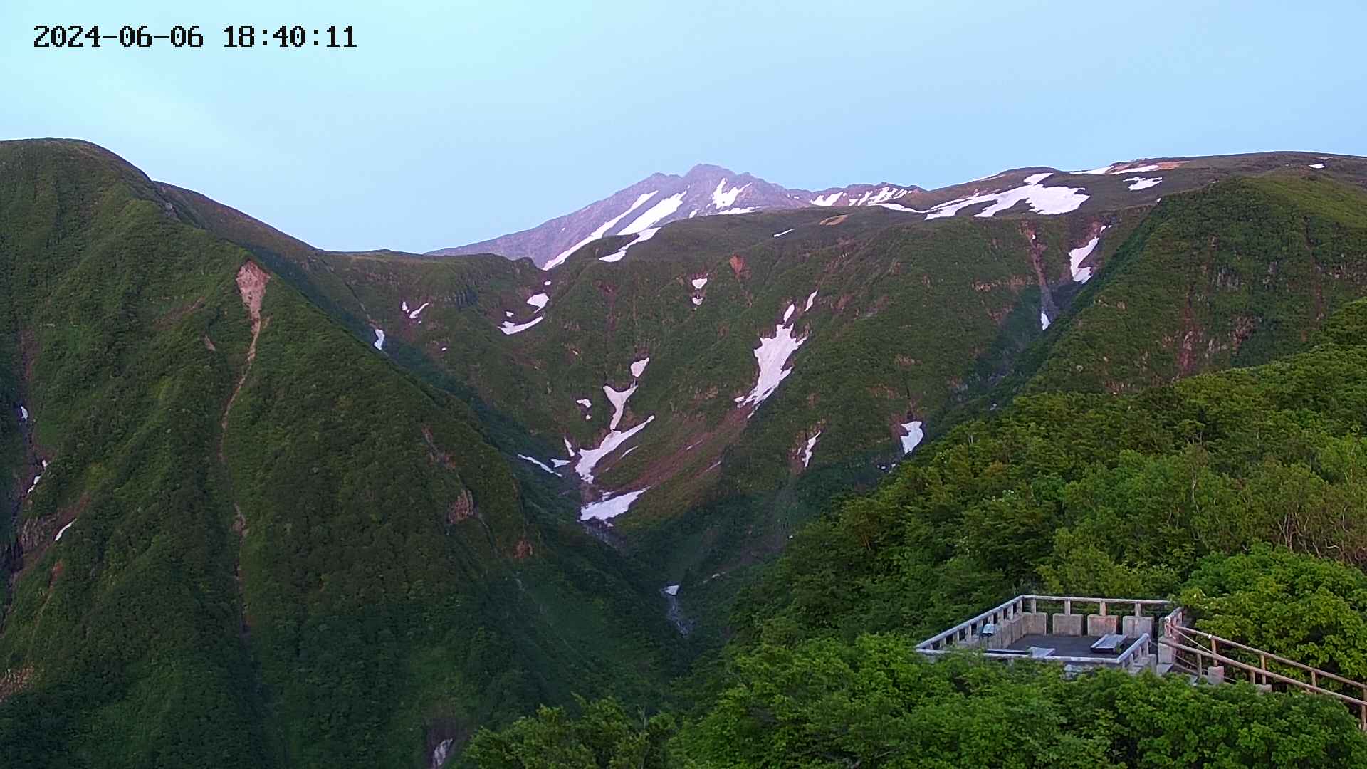zenkei20240606184014.jpg