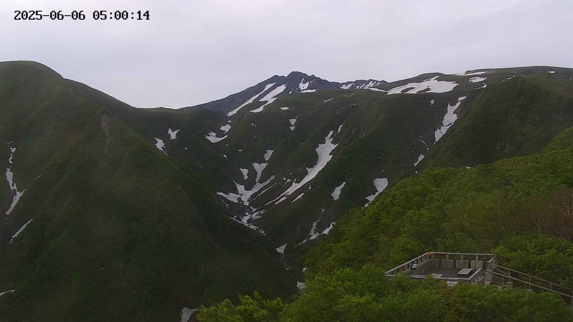 zenkei20250606050013.jpg