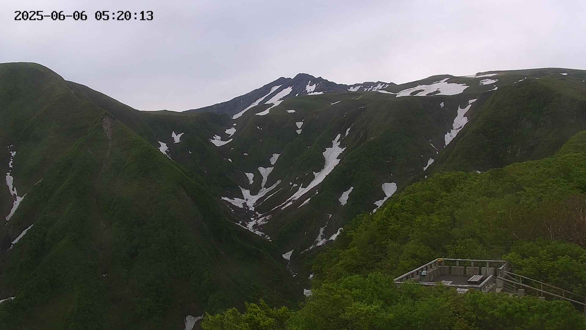 zenkei20250606052013.jpg