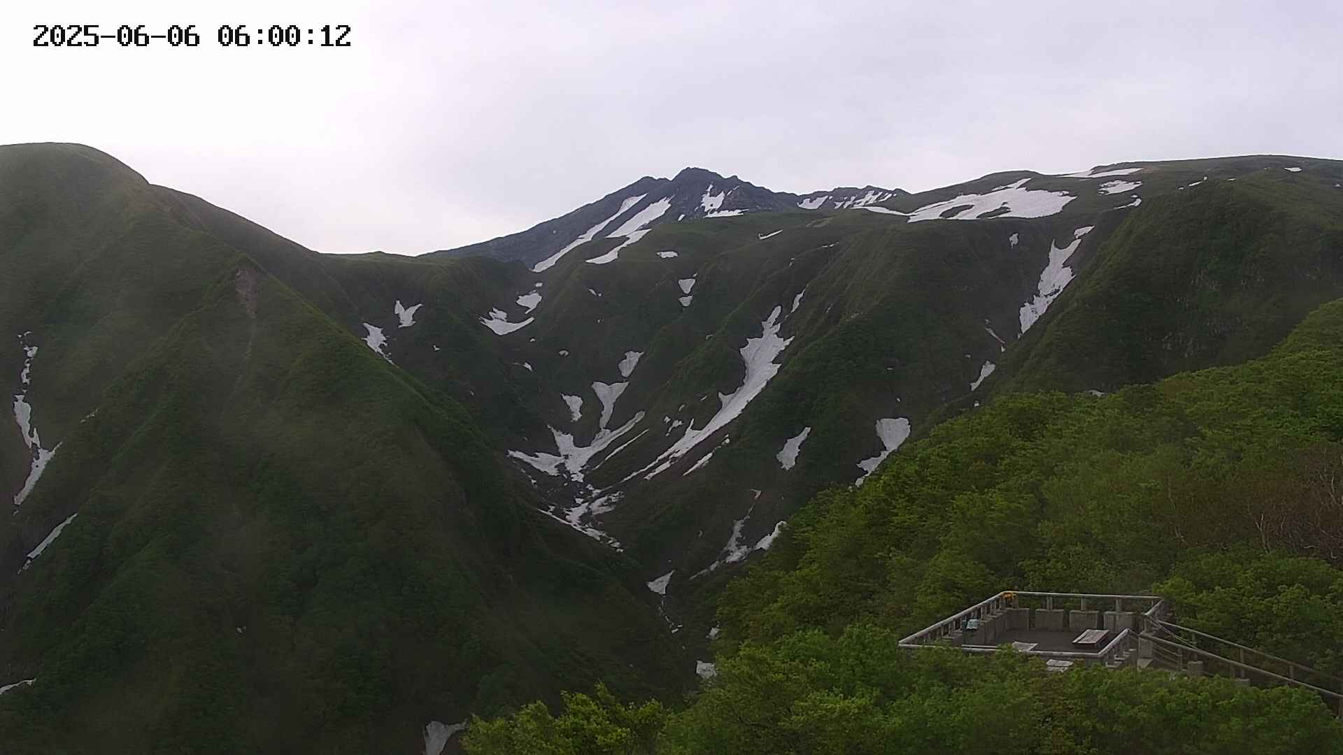 zenkei20250606060012.jpg