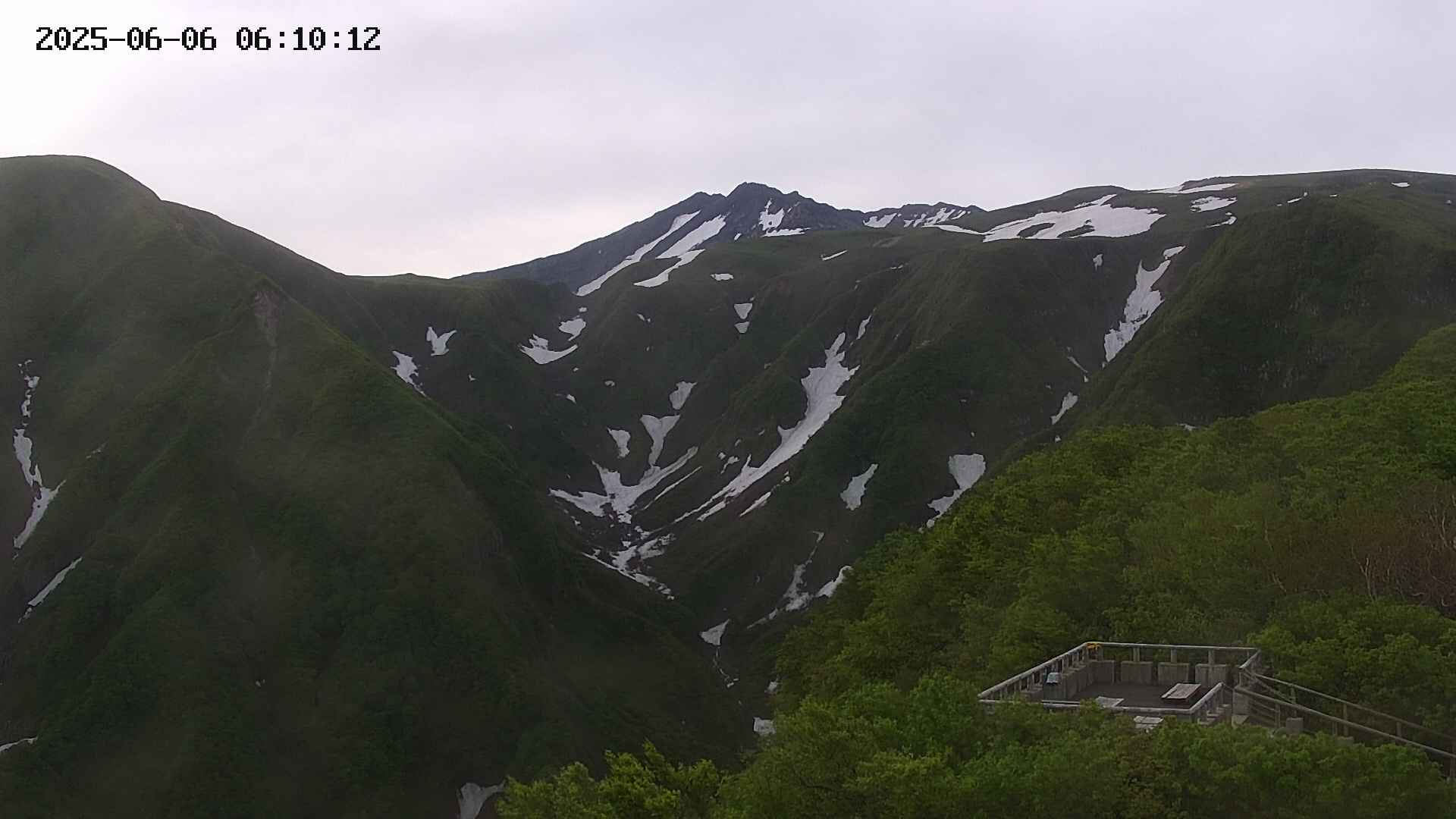 zenkei20250606061012.jpg