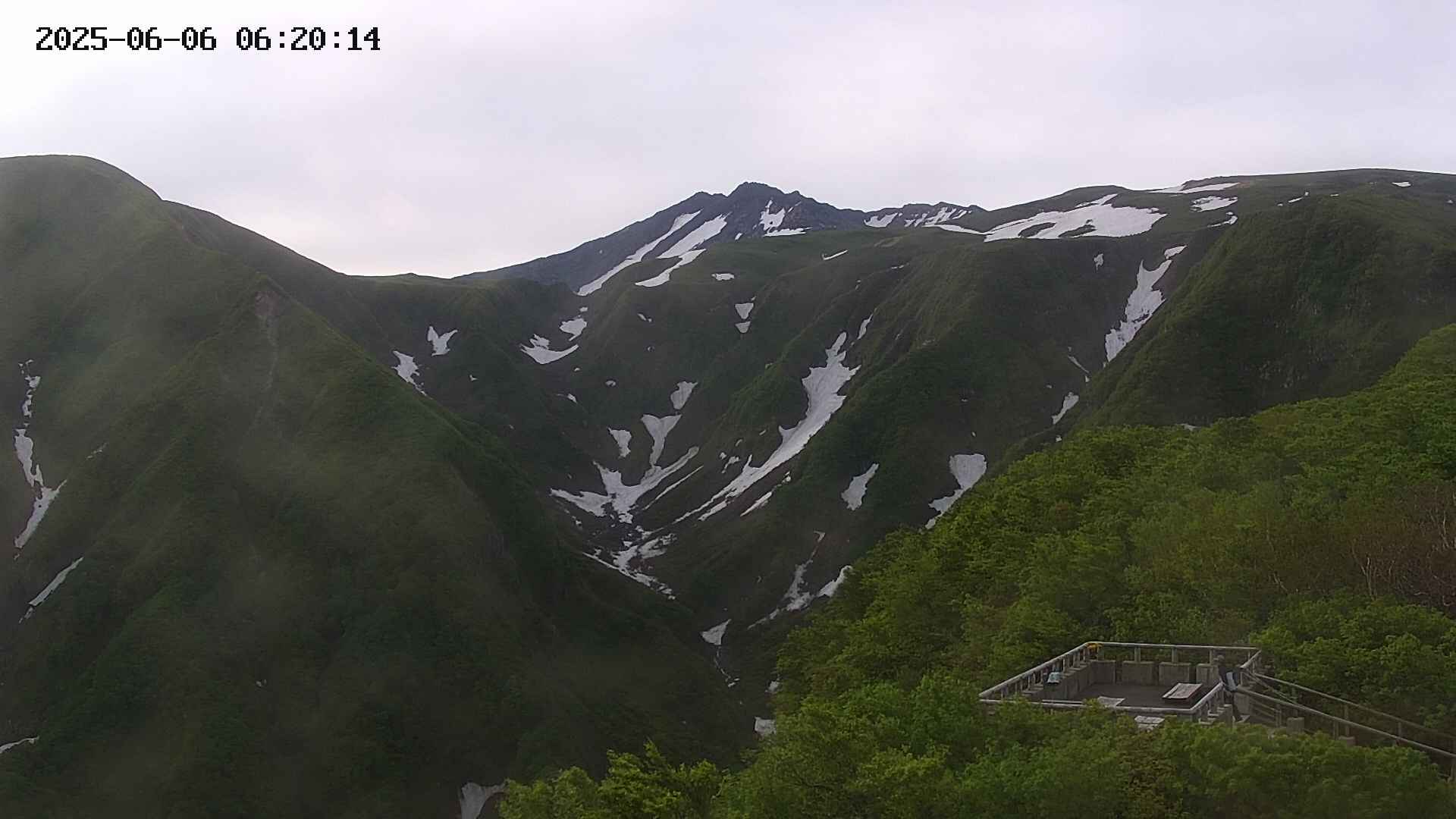 zenkei20250606062013.jpg