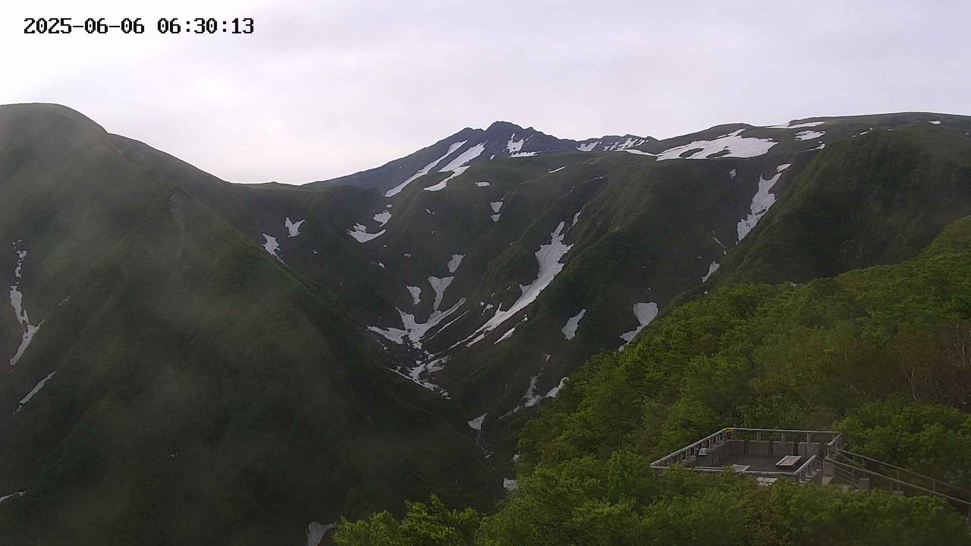 zenkei20250606063012.jpg