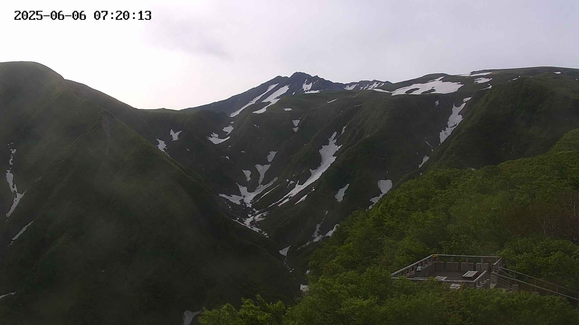 zenkei20250606072013.jpg