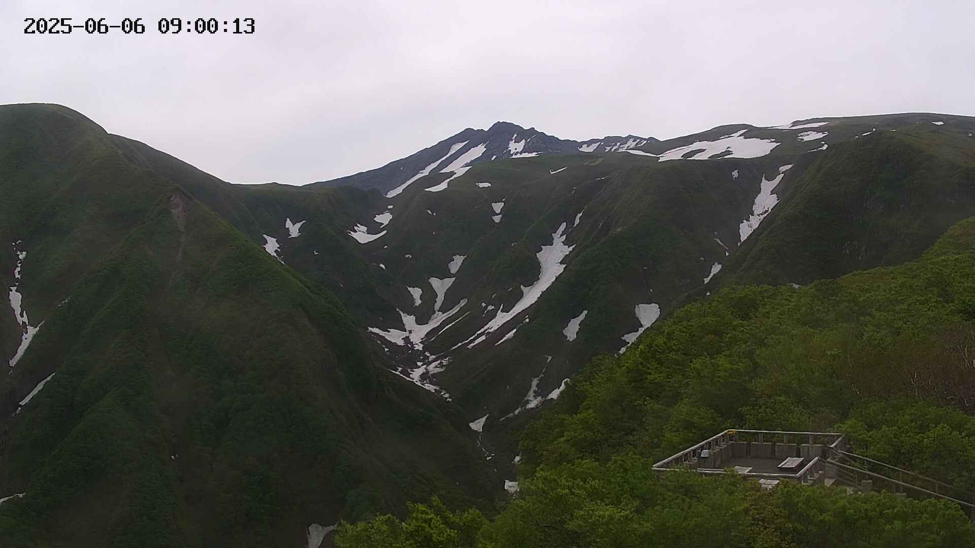 zenkei20250606090013.jpg