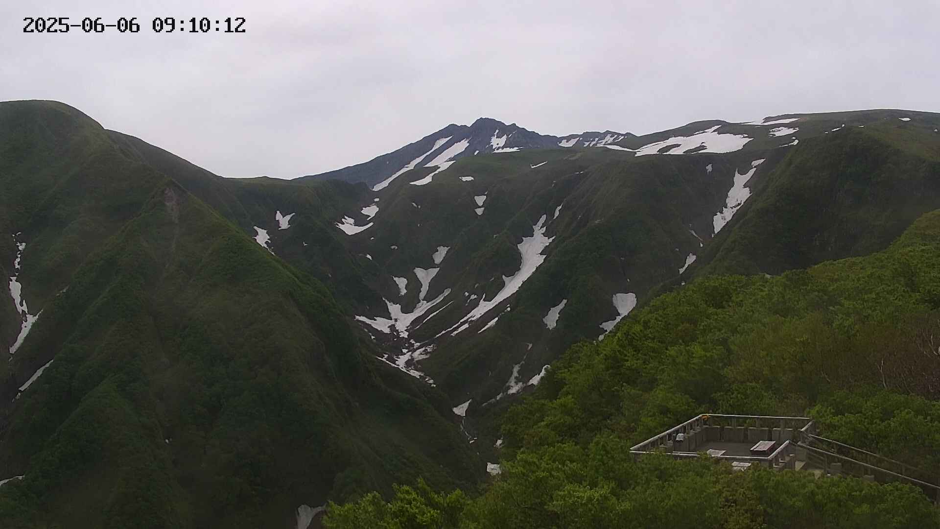 zenkei20250606091012.jpg