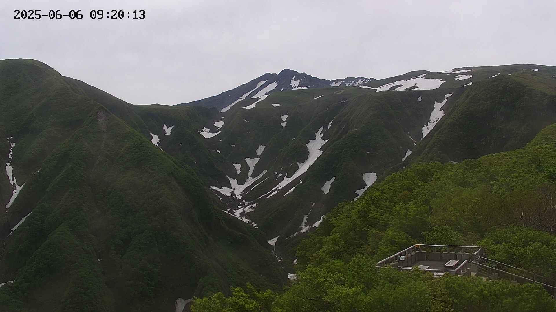 zenkei20250606092014.jpg