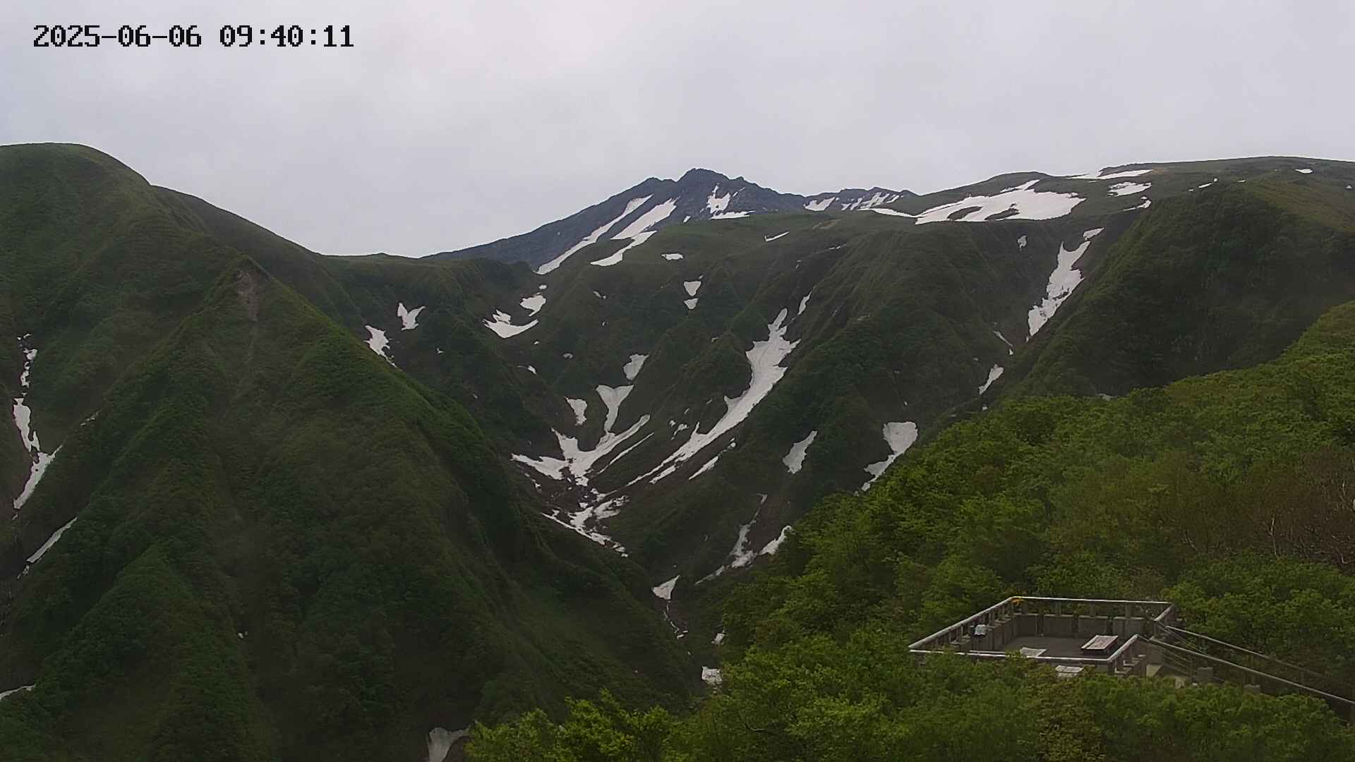zenkei20250606094012.jpg