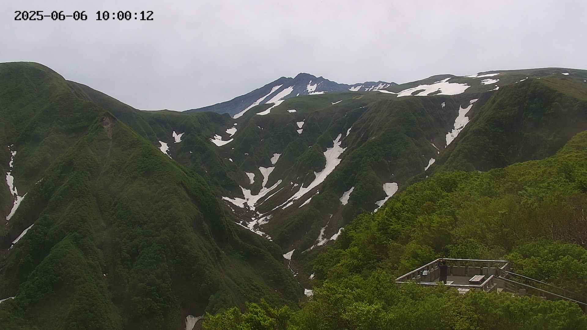 zenkei20250606100013.jpg