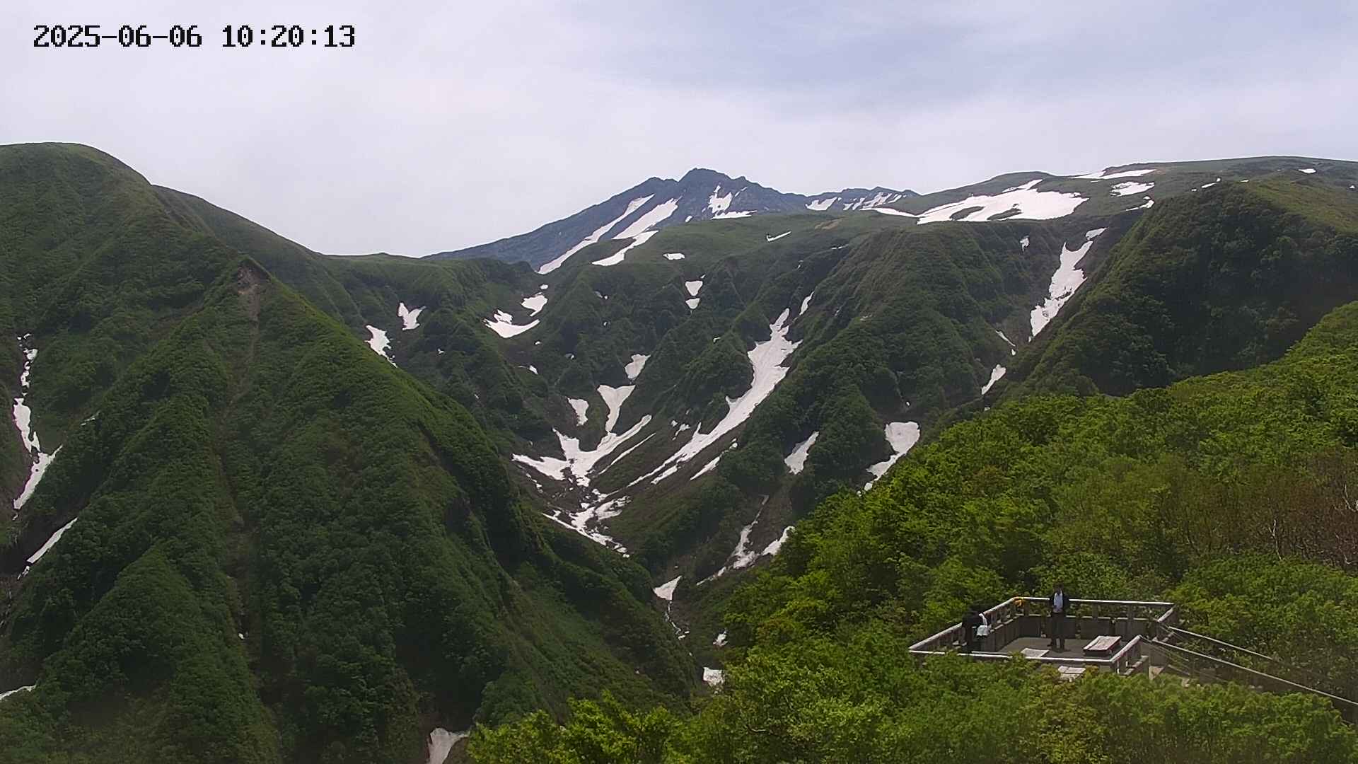 zenkei20250606102013.jpg