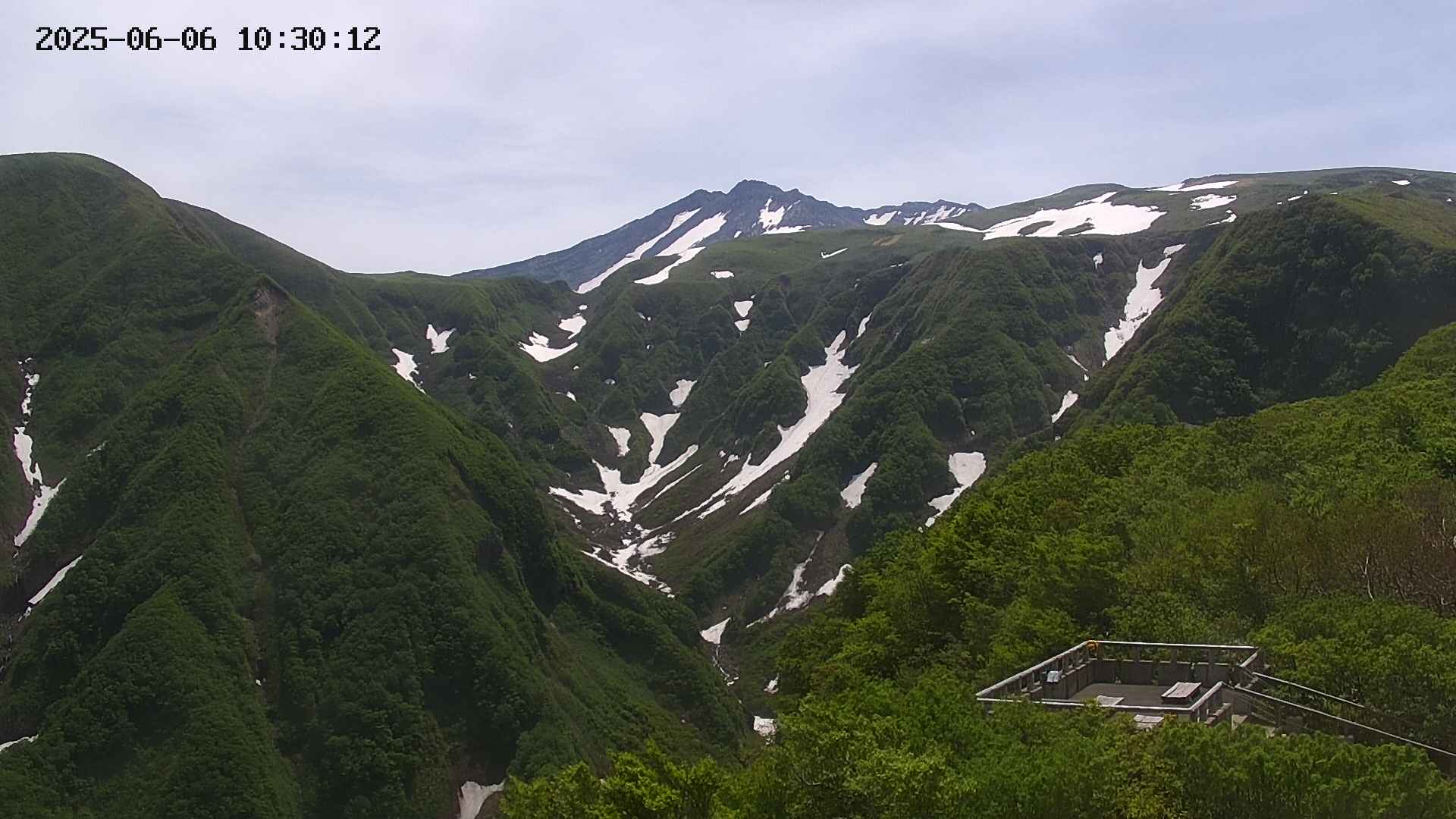 zenkei20250606103013.jpg