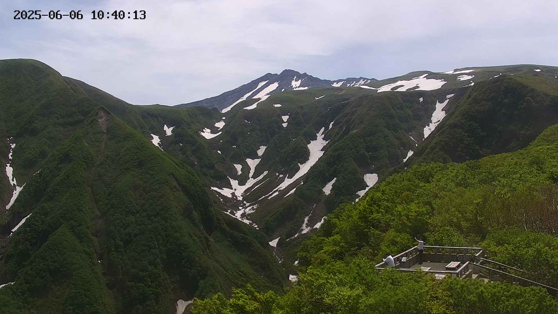 zenkei20250606104014.jpg