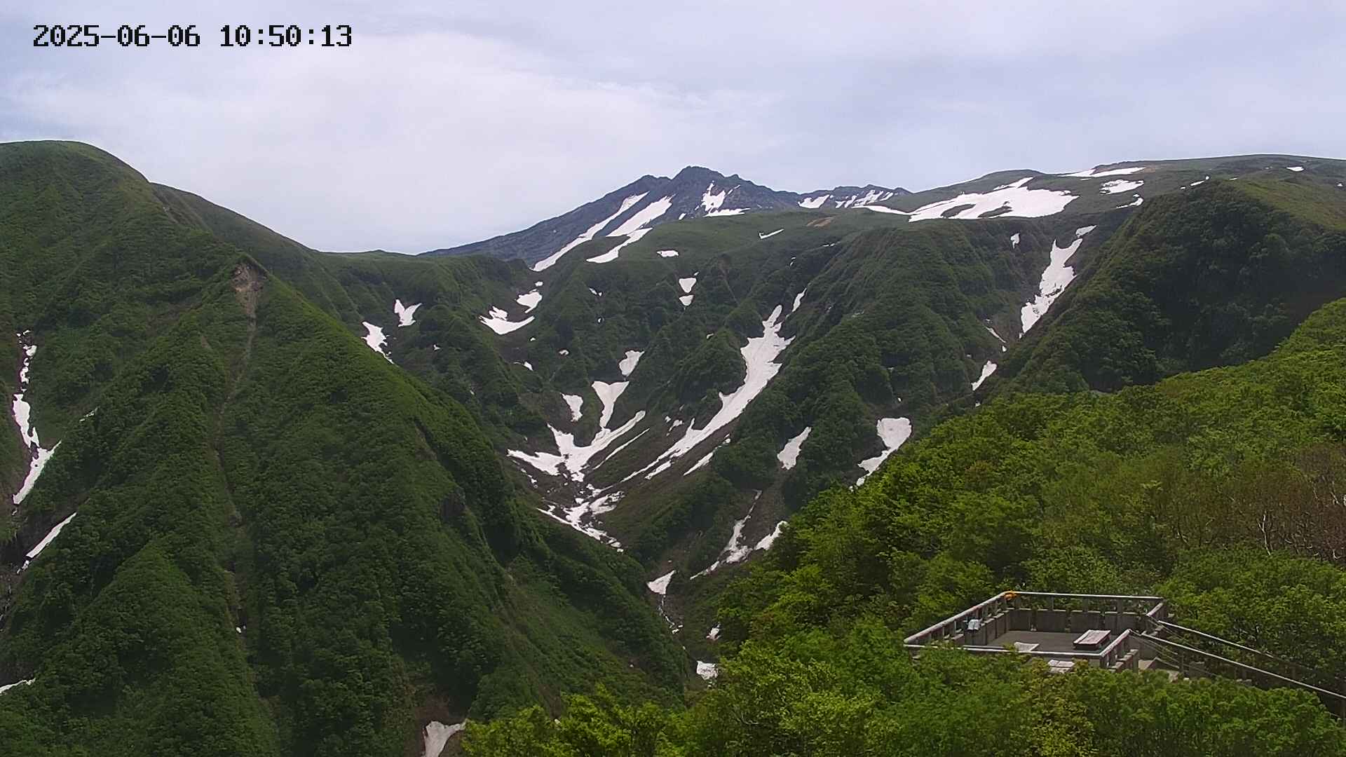 zenkei20250606105014.jpg
