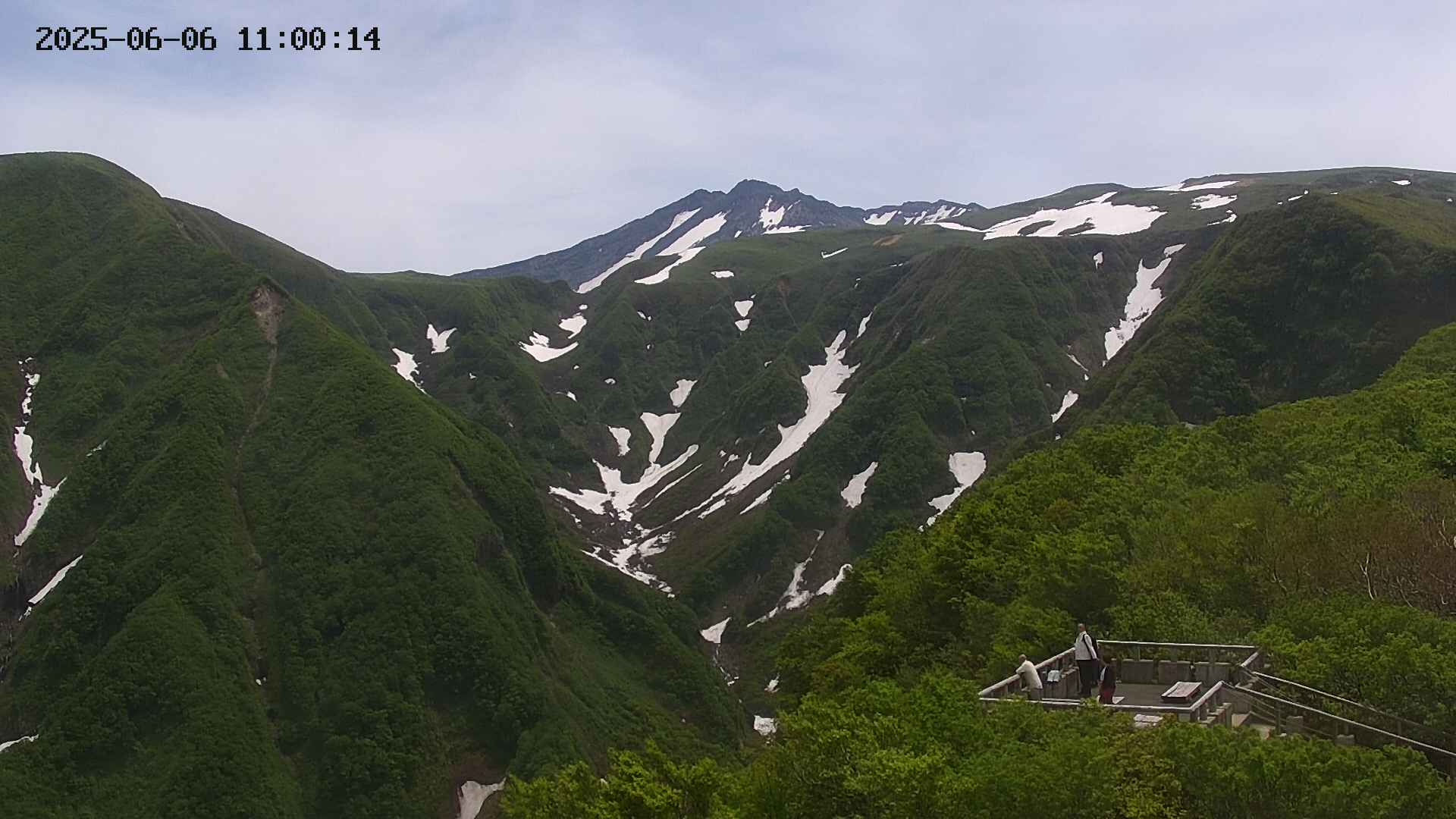 zenkei20250606110015.jpg