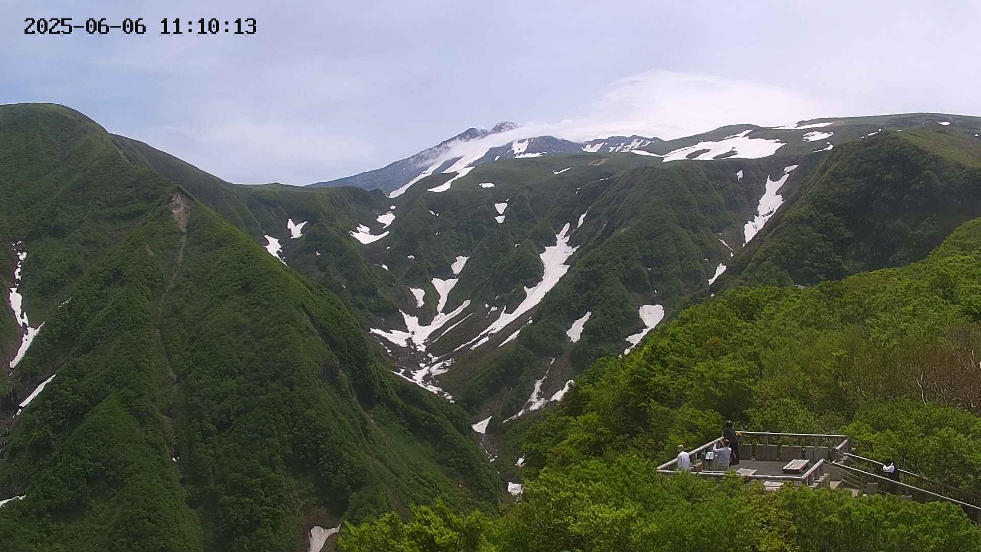 zenkei20250606111014.jpg