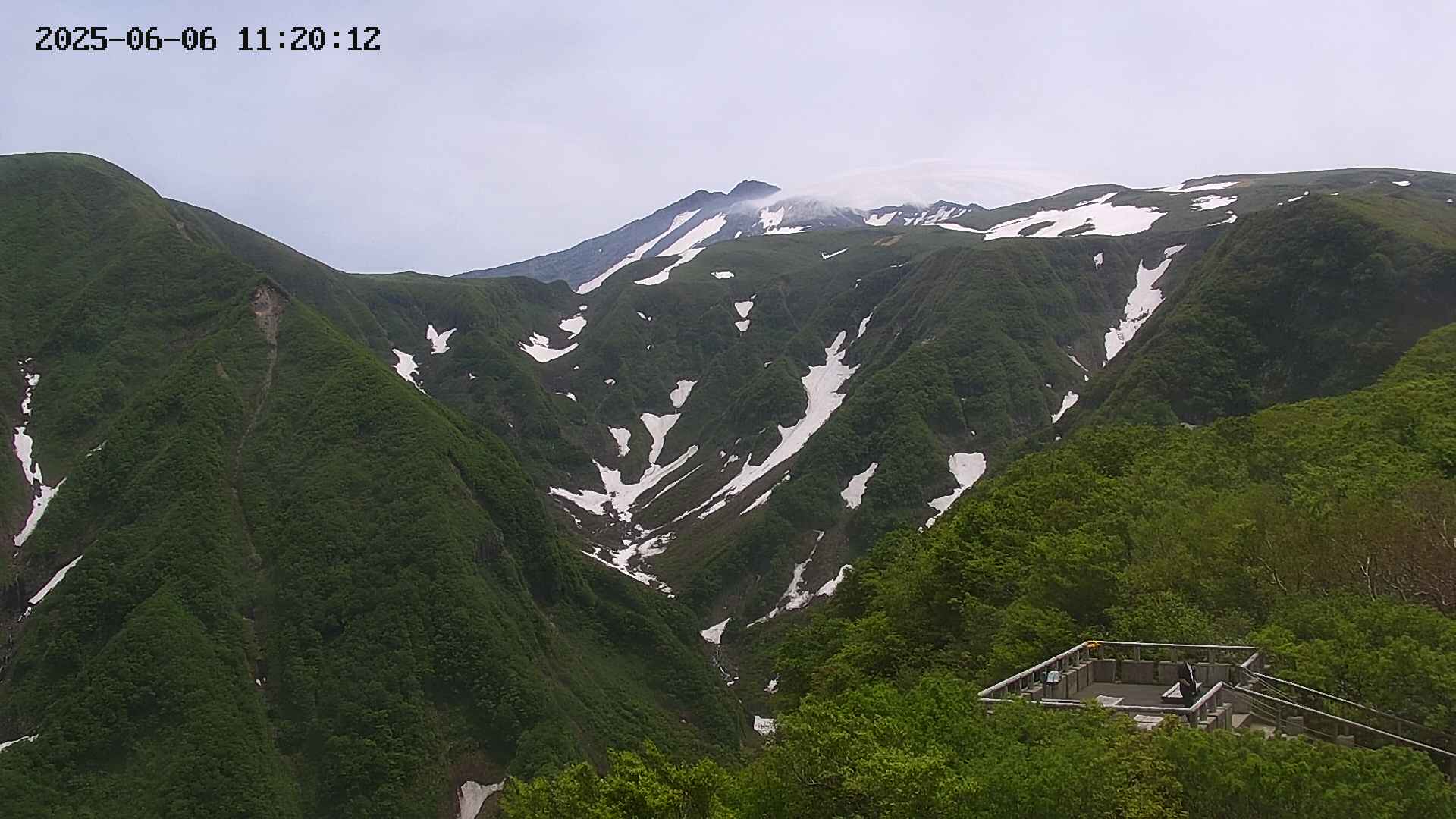 zenkei20250606112013.jpg