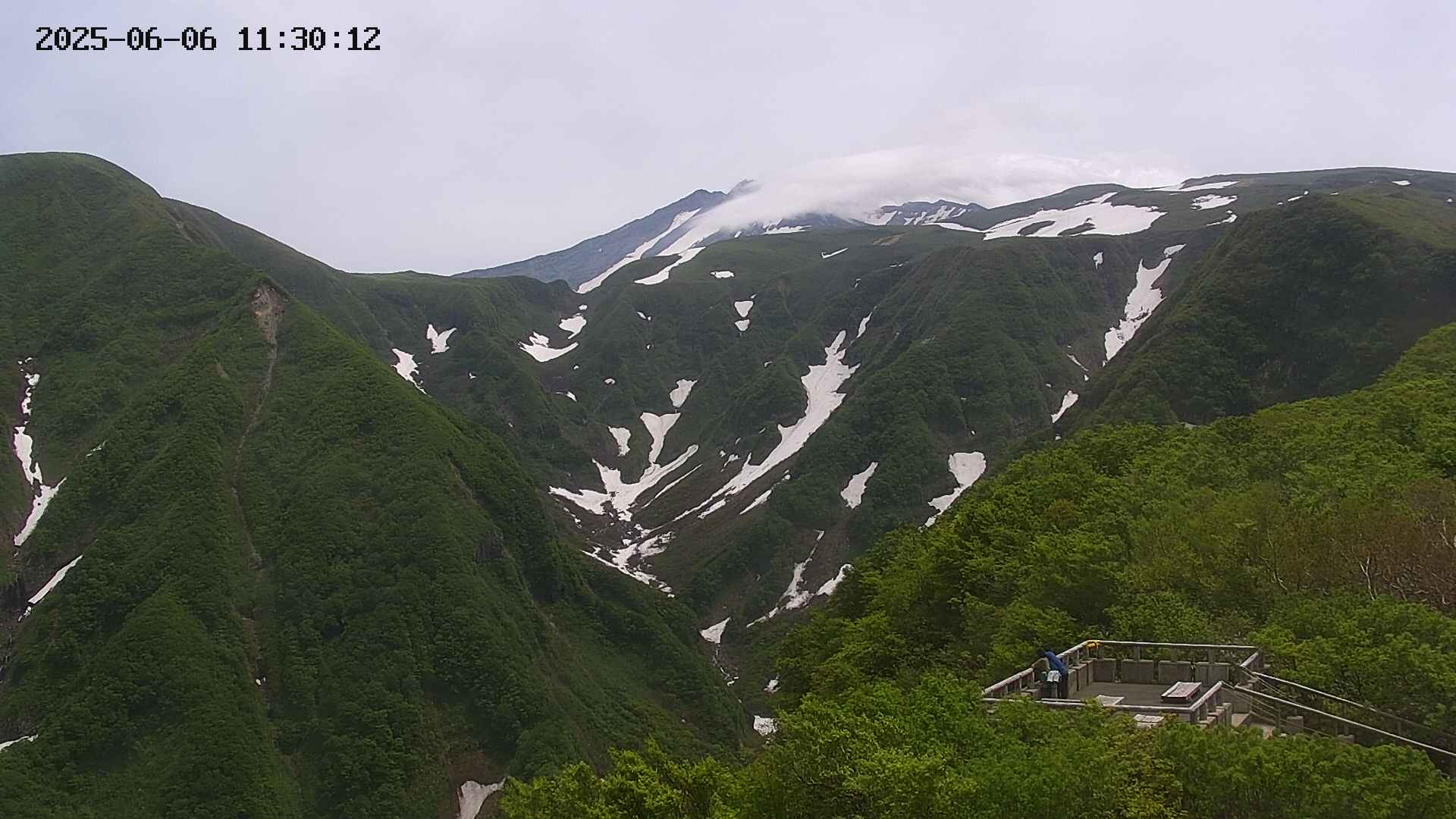 zenkei20250606113013.jpg