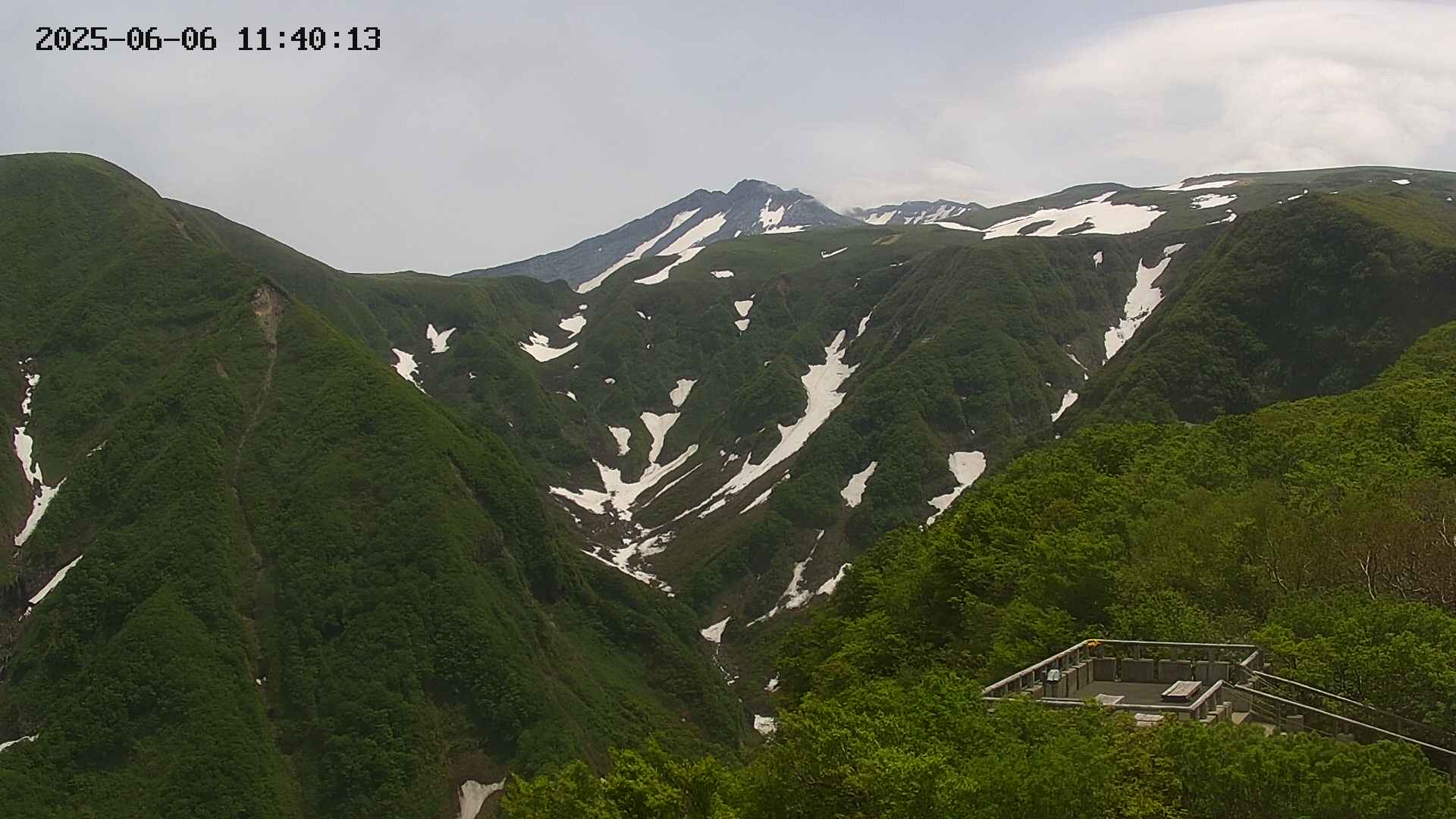 zenkei20250606114014.jpg