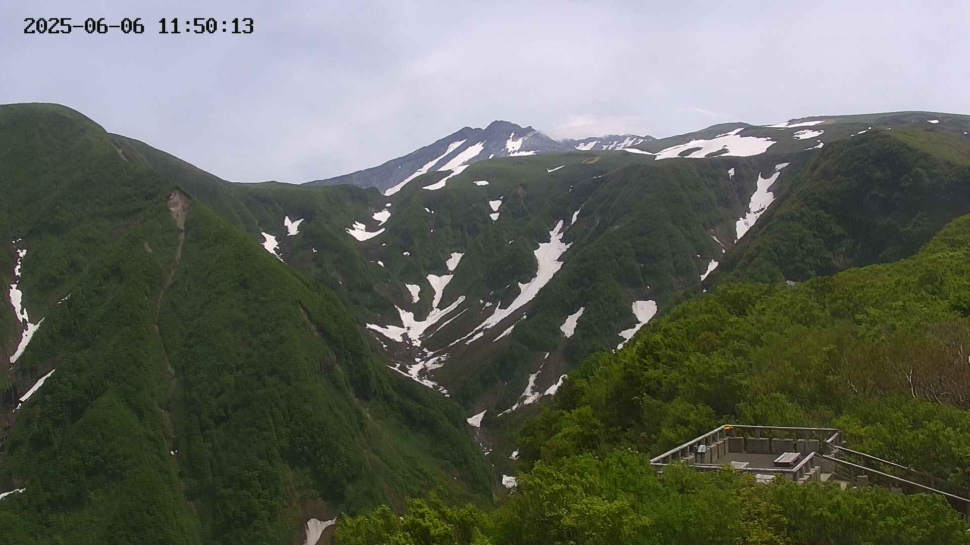 zenkei20250606115014.jpg