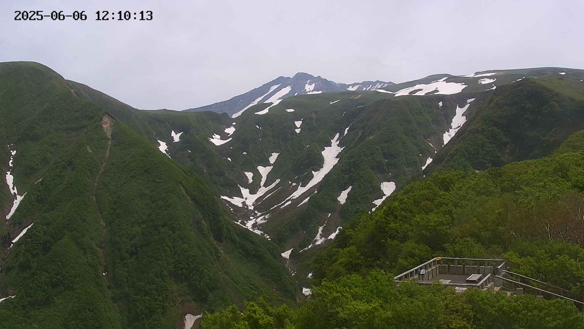 zenkei20250606121014.jpg