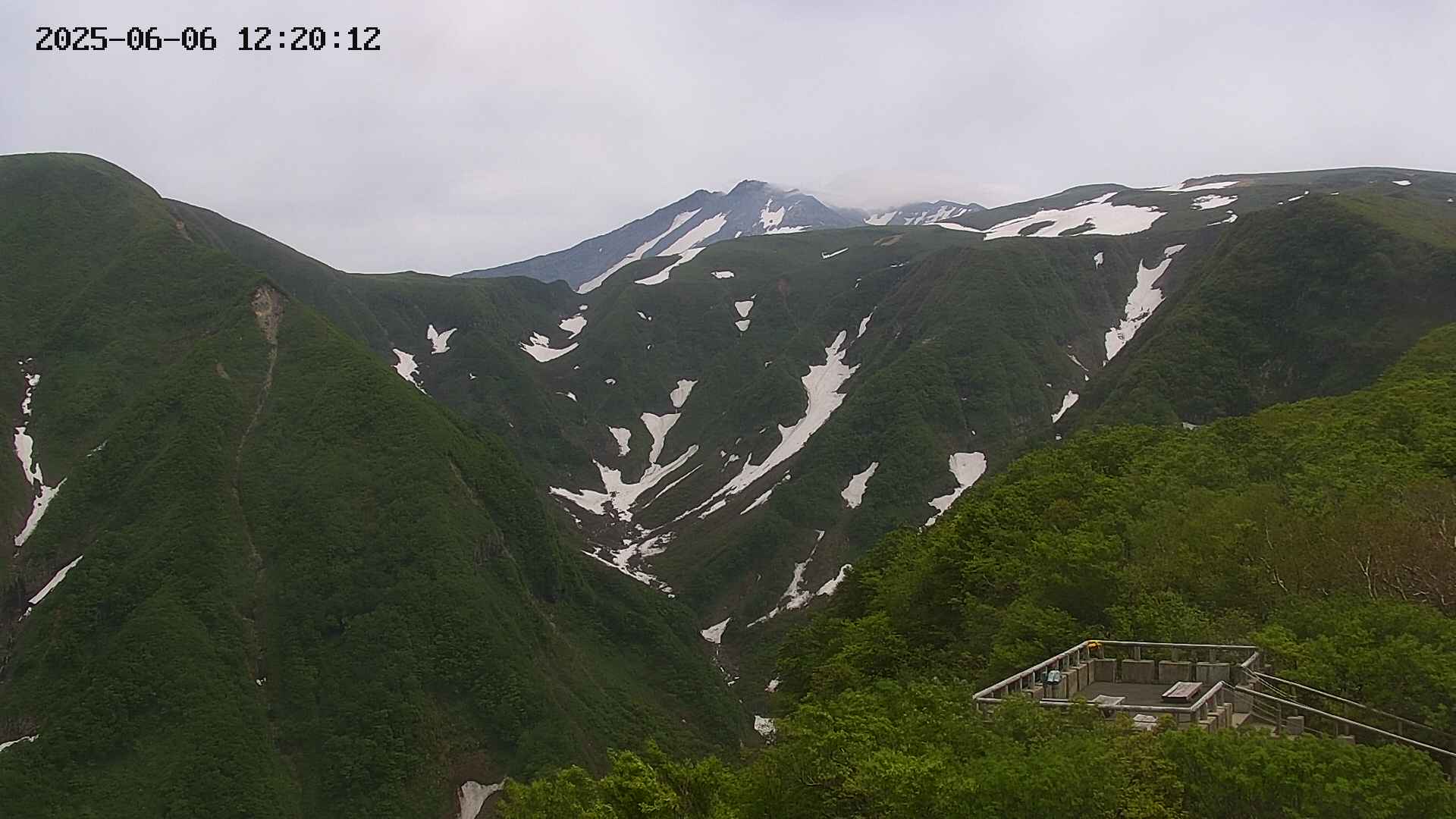 zenkei20250606122013.jpg