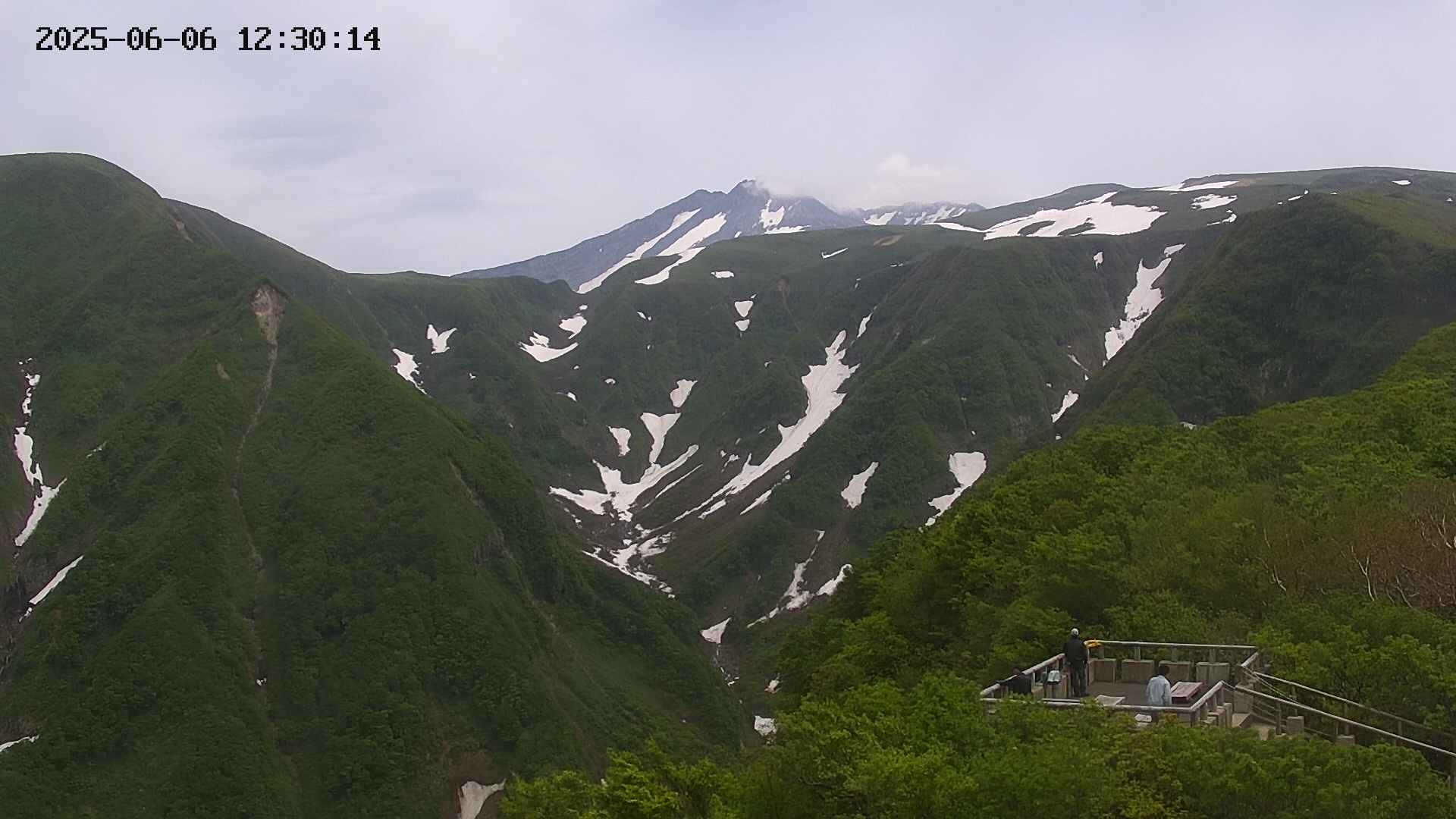 zenkei20250606123015.jpg