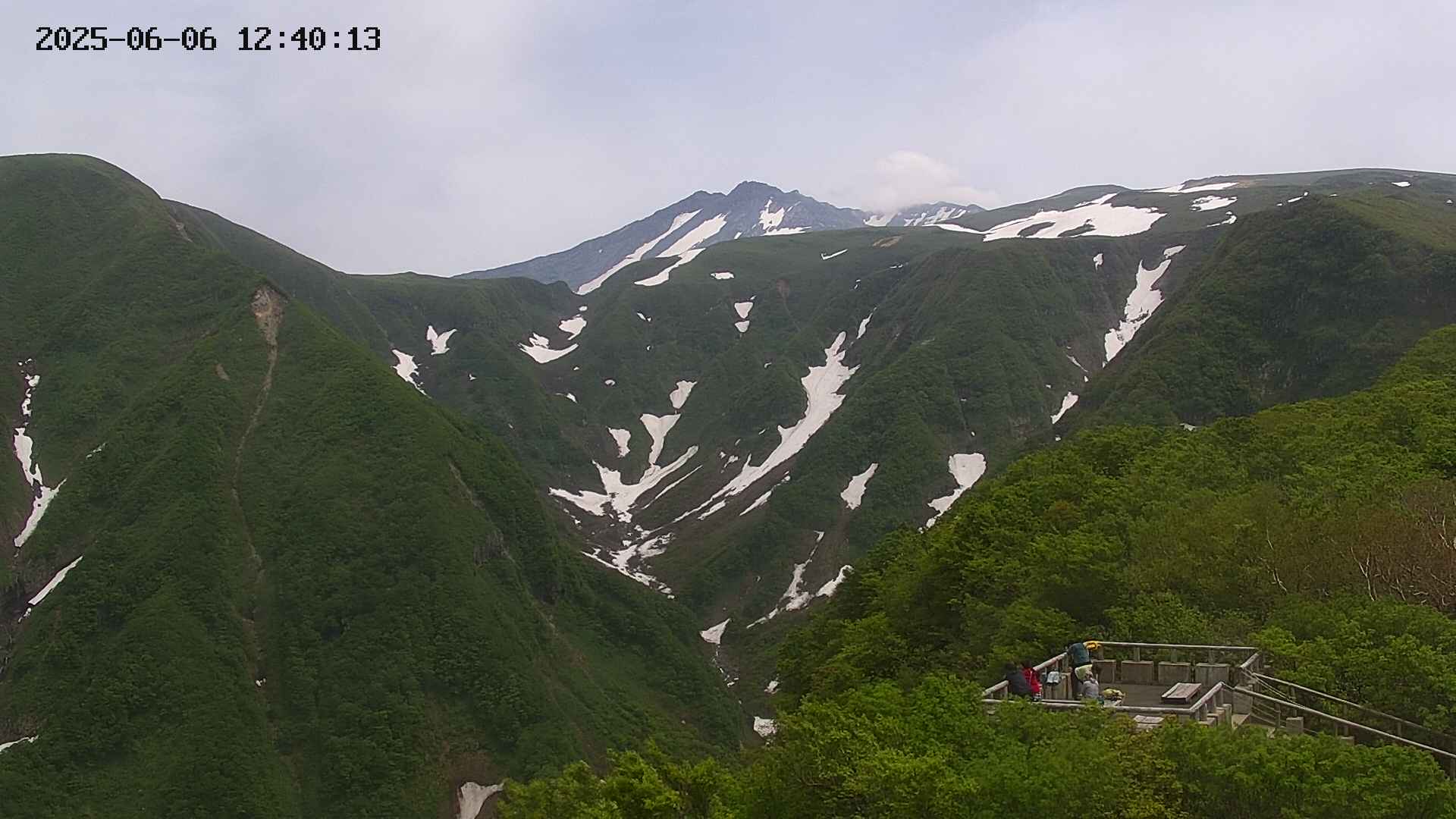 zenkei20250606124014.jpg