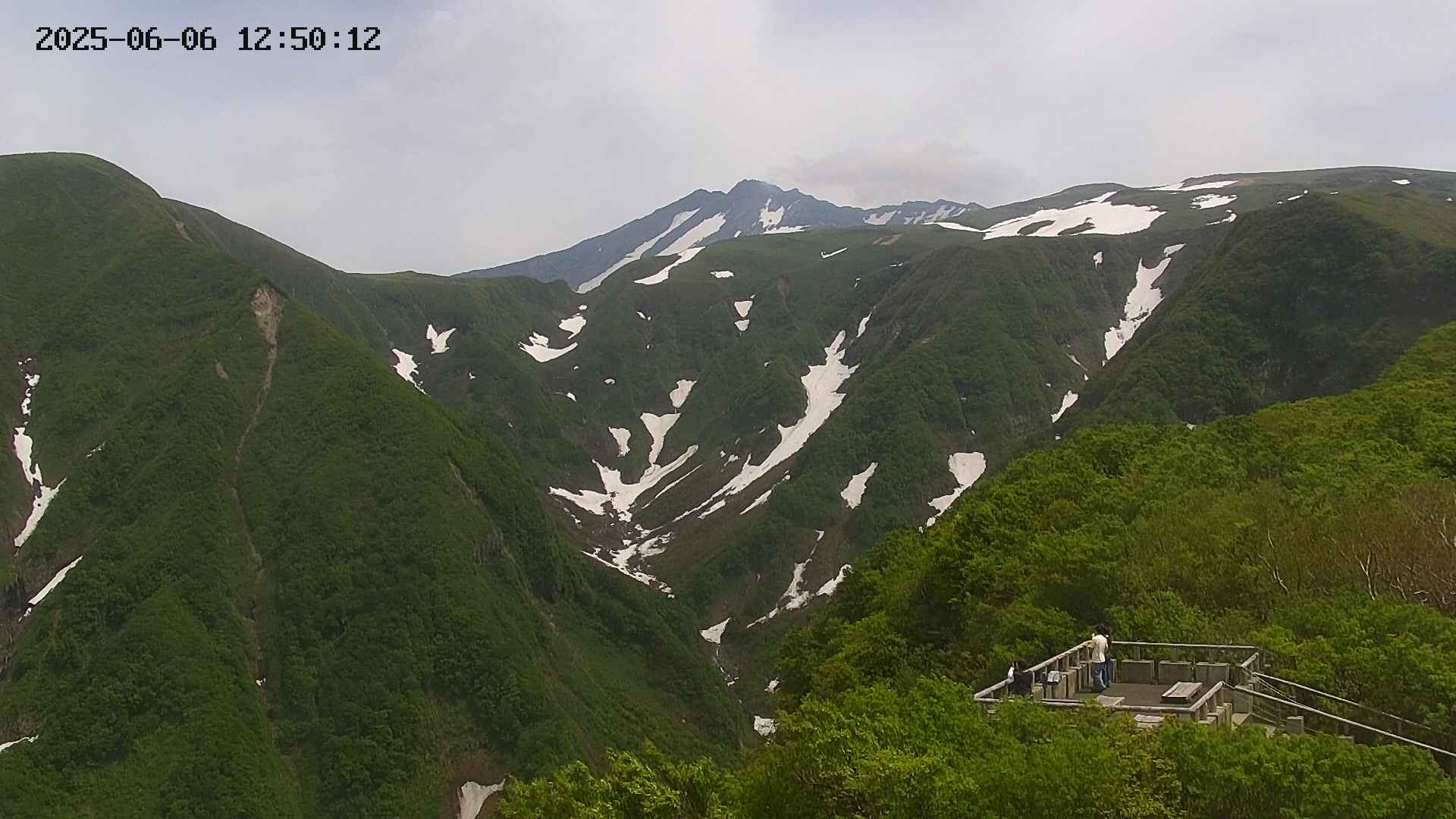 zenkei20250606125013.jpg