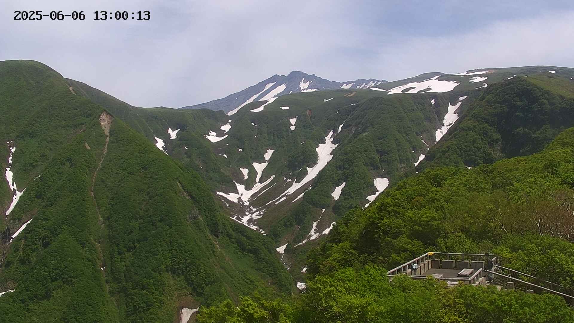 zenkei20250606130013.jpg