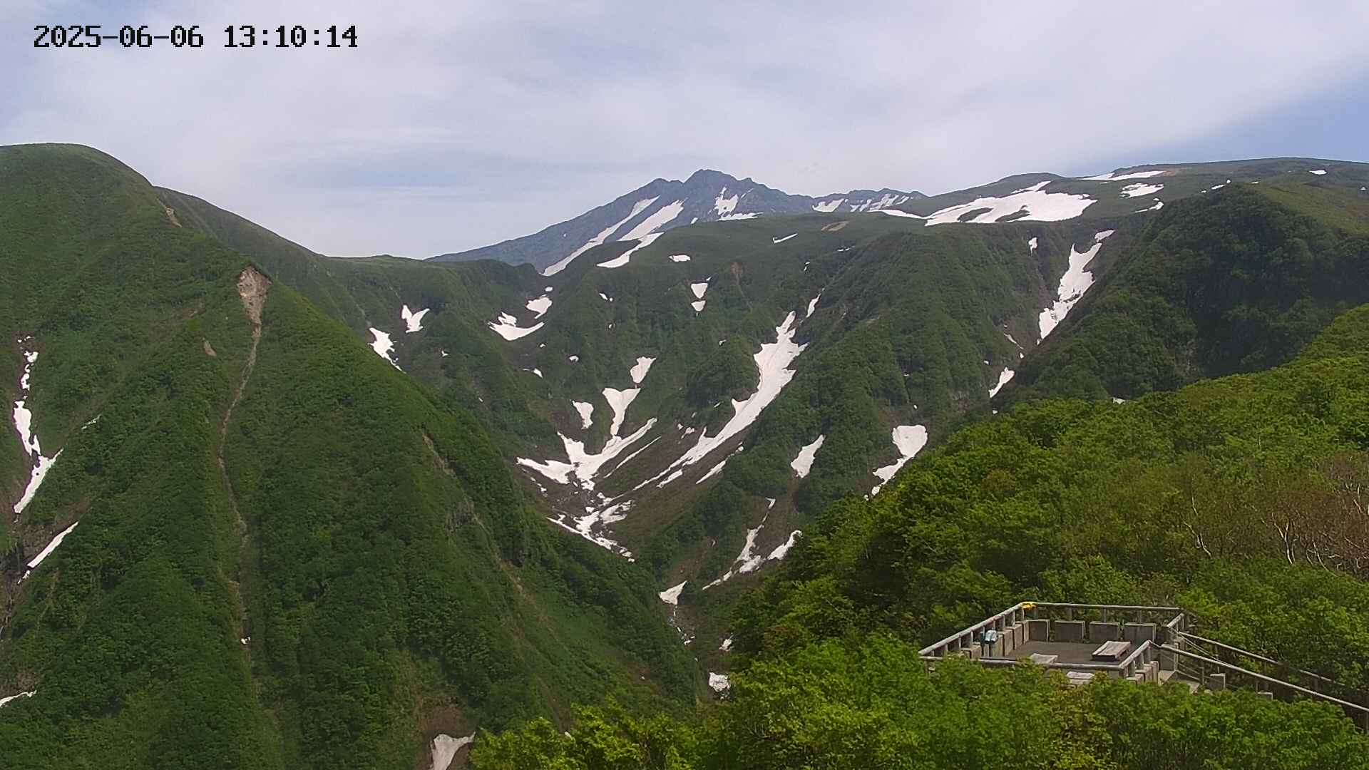 zenkei20250606131015.jpg