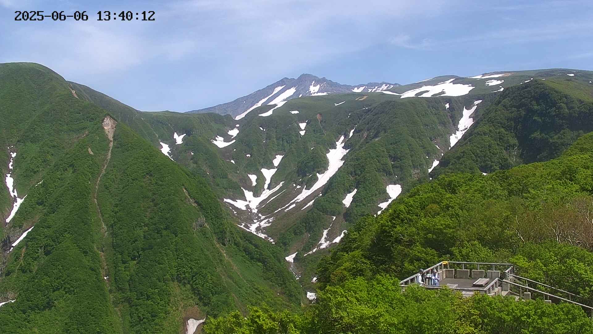 zenkei20250606134013.jpg