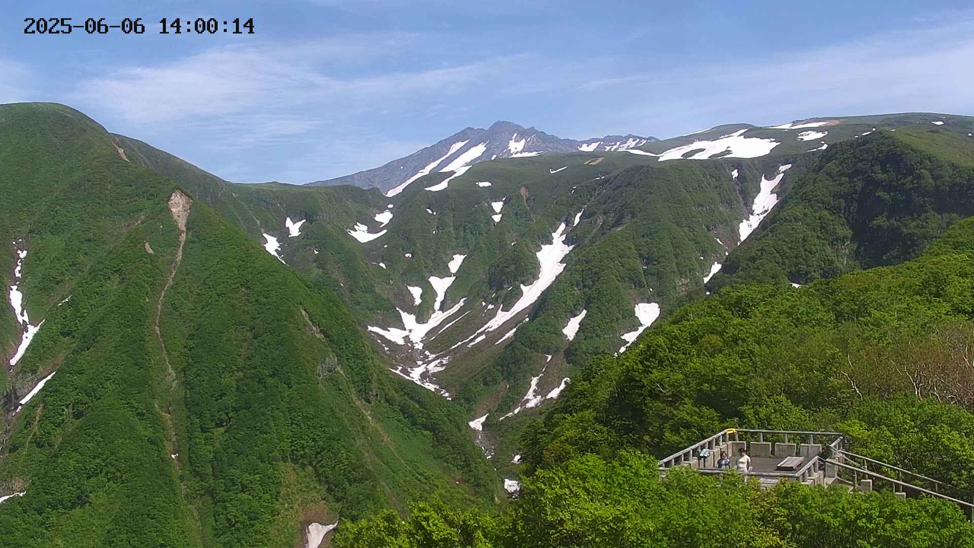 zenkei20250606140014.jpg